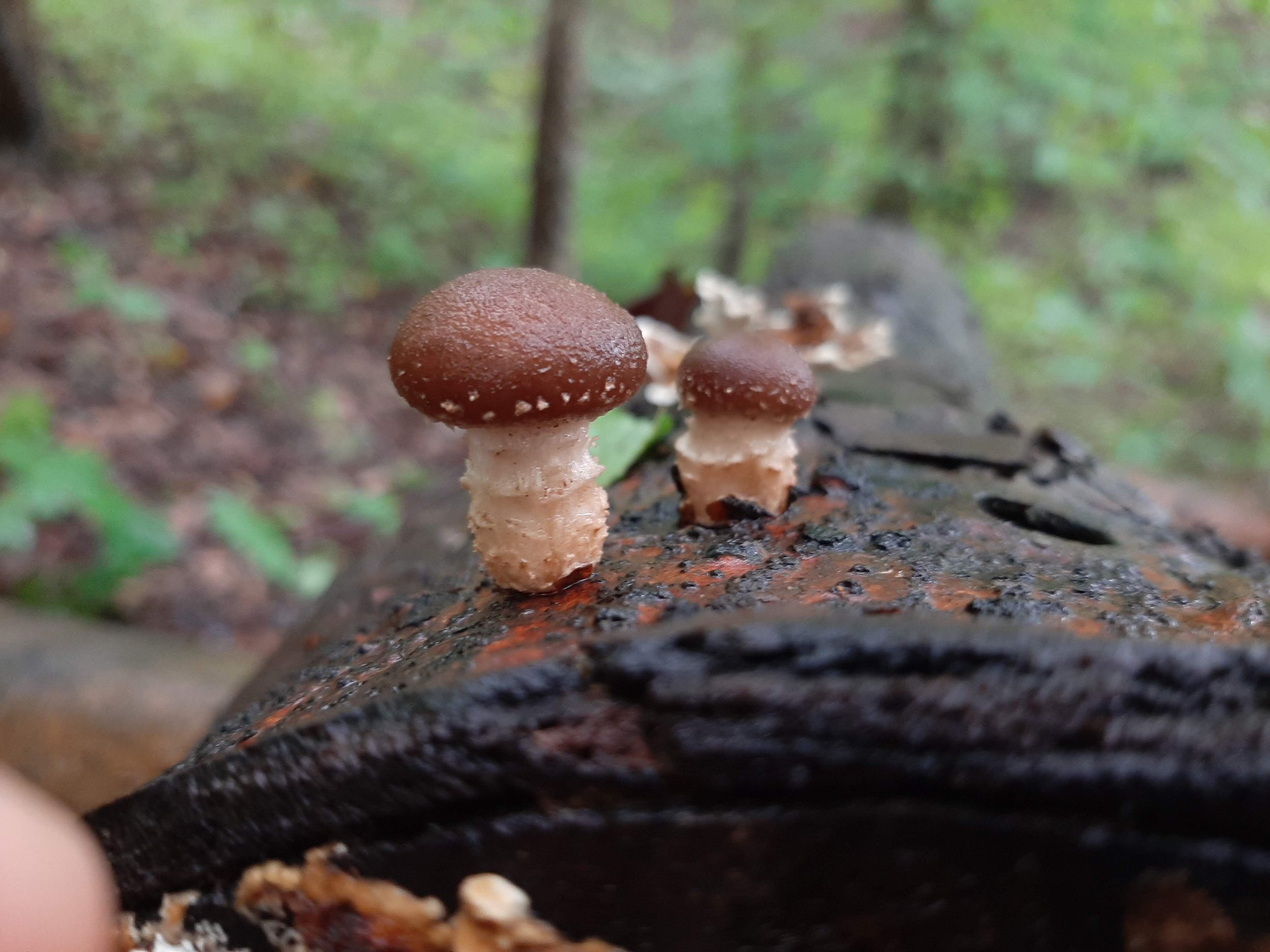 20200903_103628.jpg