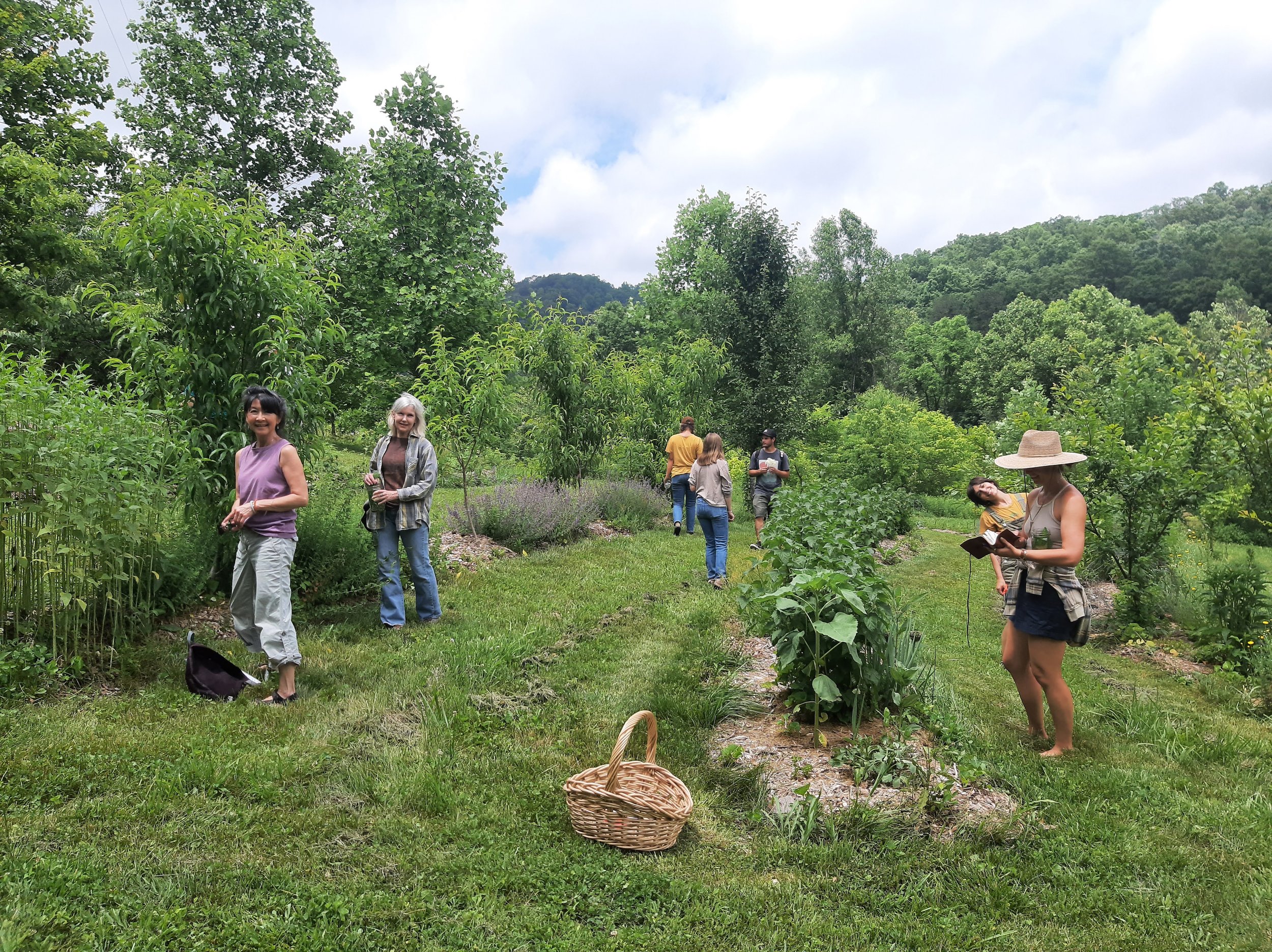 3-Joana Amorim- Herbal workshop.jpg