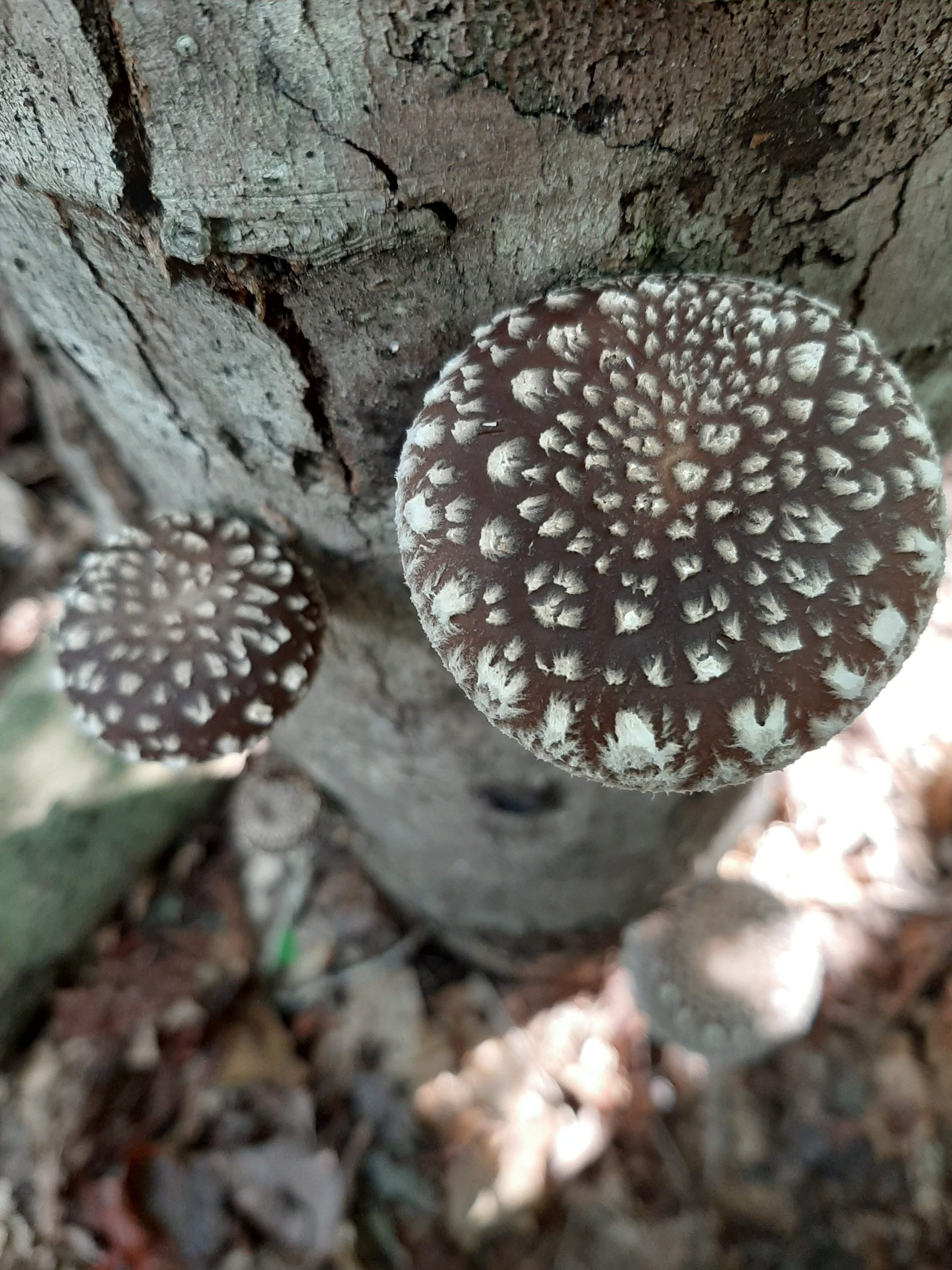 20200927_133943.jpg