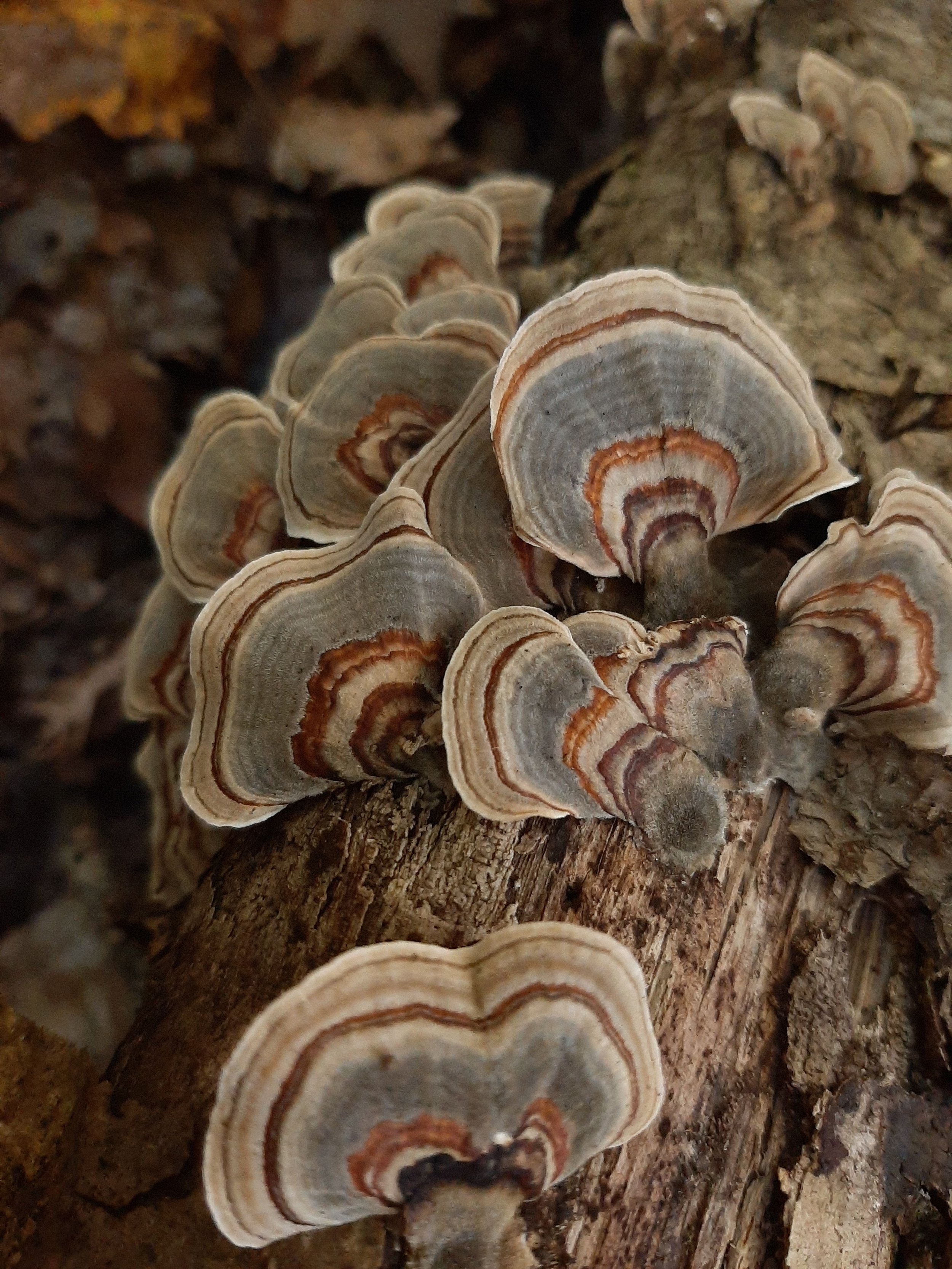20201005_143309.jpg