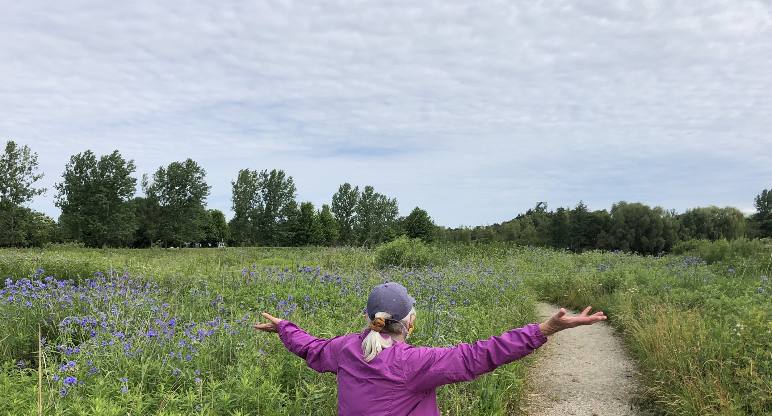 Botanical Gardens: I search for Kansas in my photos