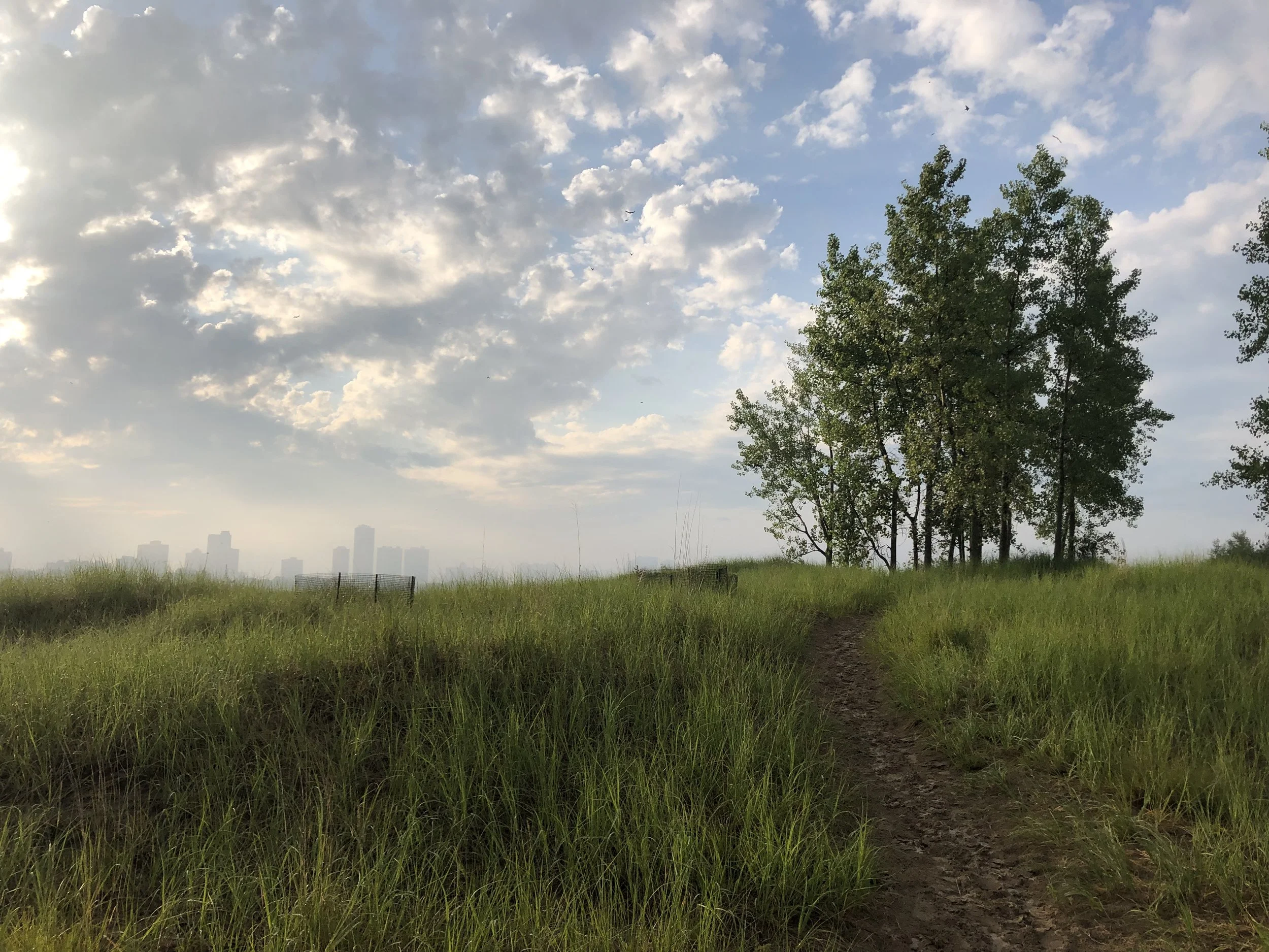 Montrose Bird Sanctuary, Chicago, Illinois
