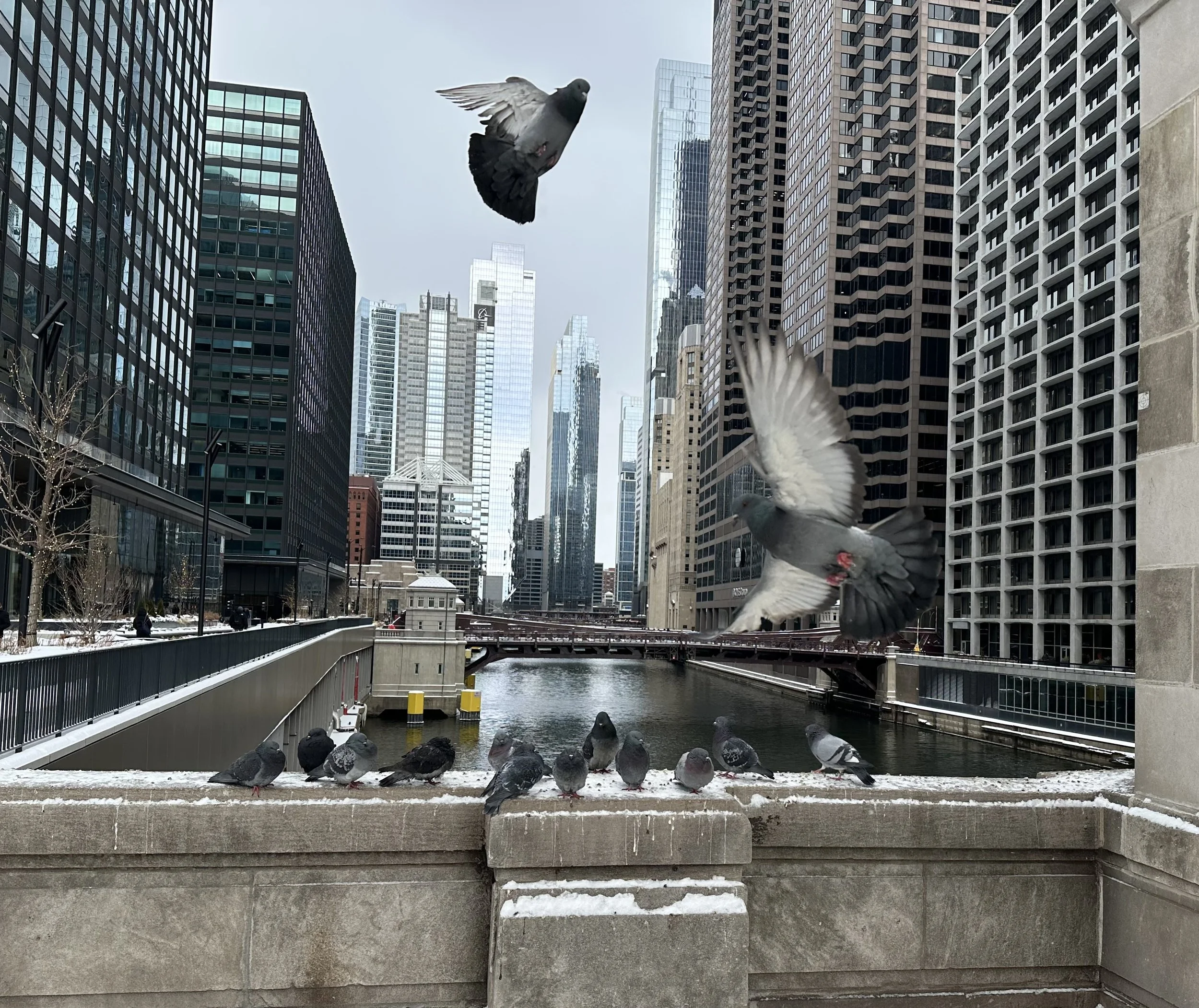 Chicago River