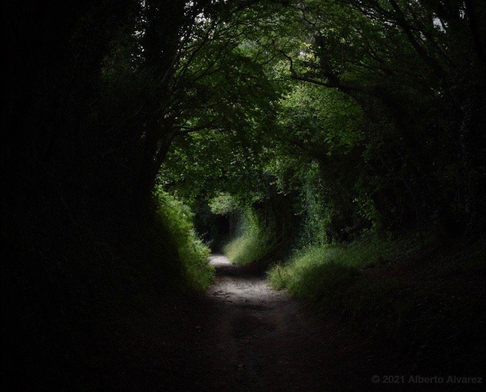 Down the Rabbit hole.002.jpeg