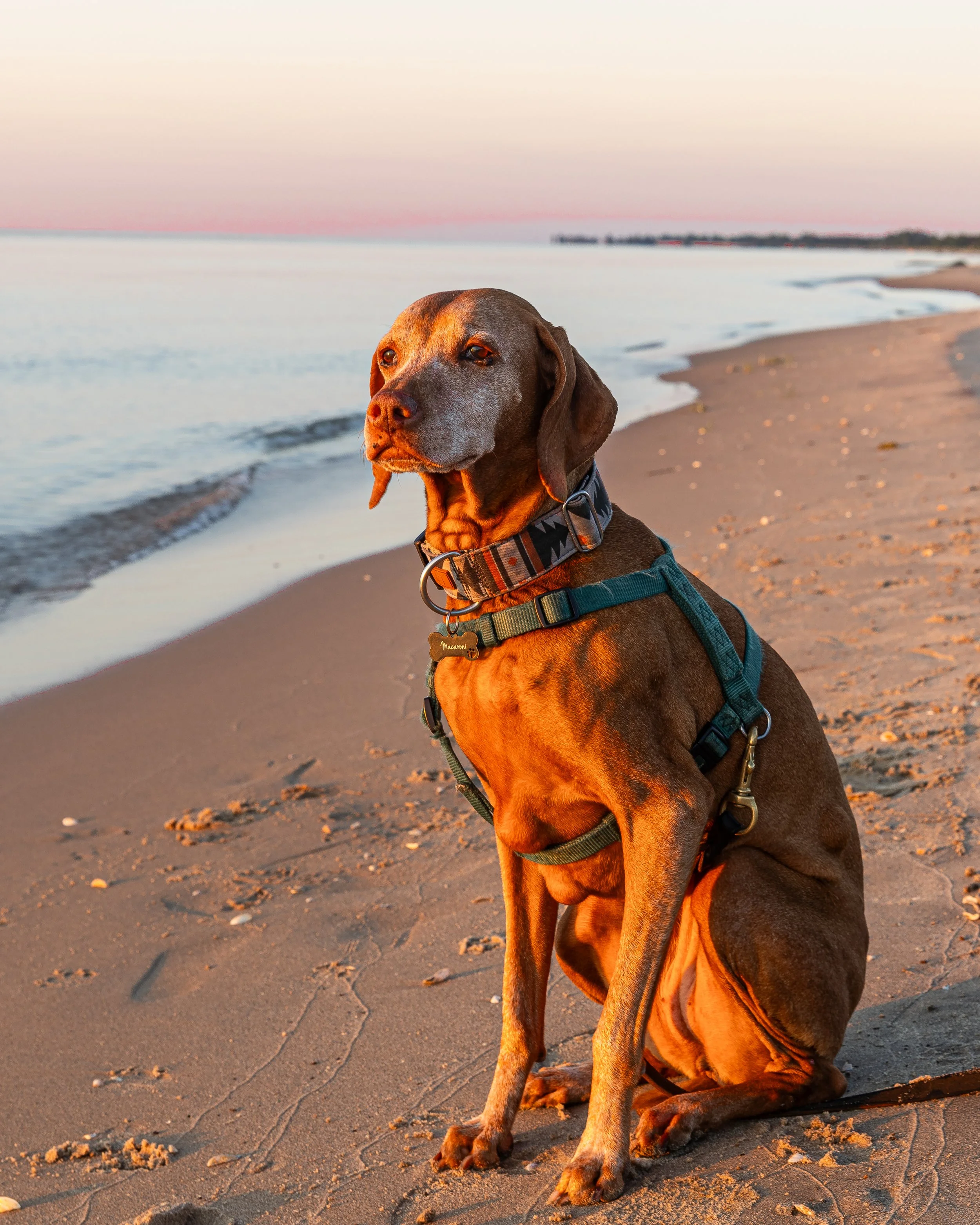 MacSunriseOscoda-260723-1.jpg