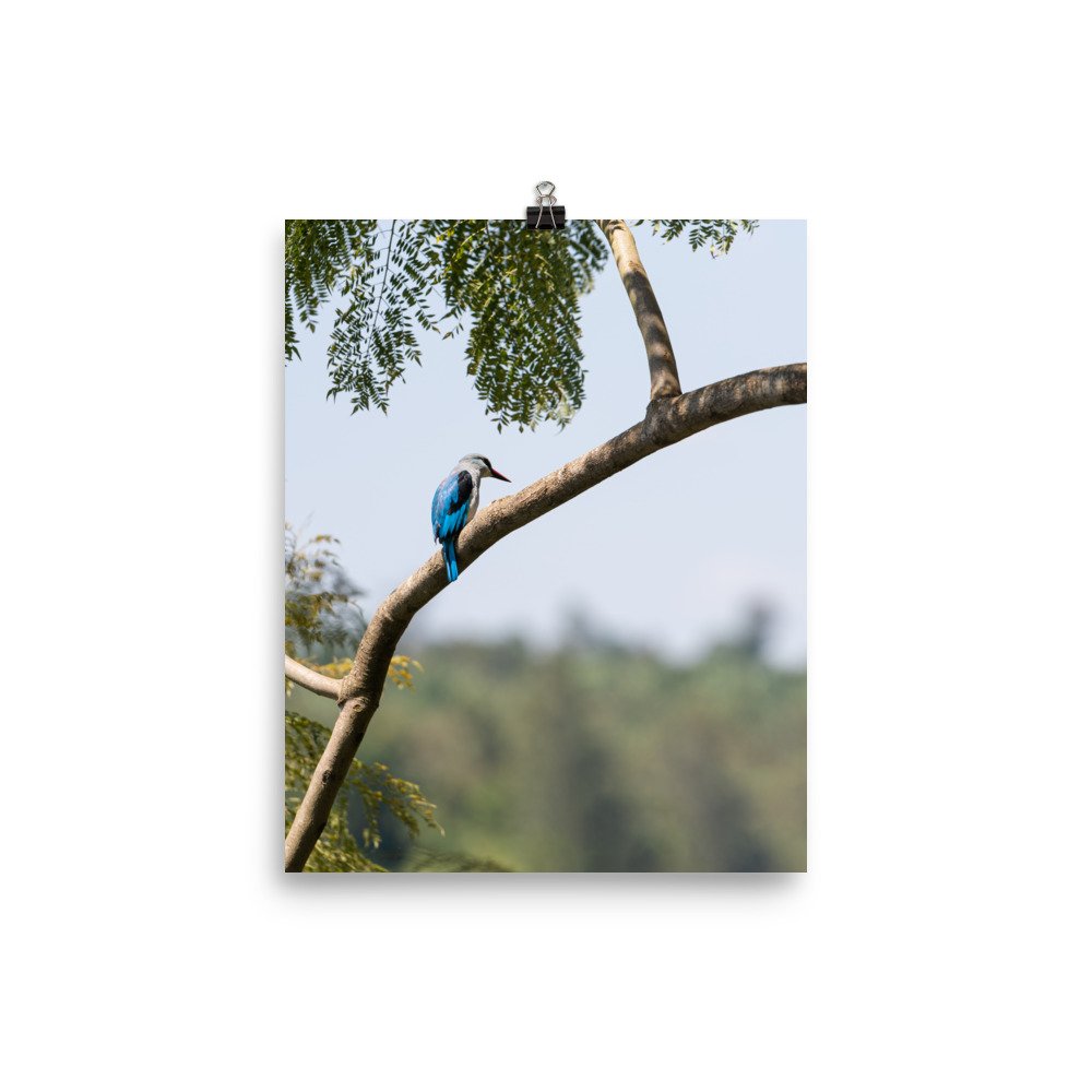 premium-luster-photo-paper-poster-(in)-8x10-transparent-633f4b72560ae.jpg