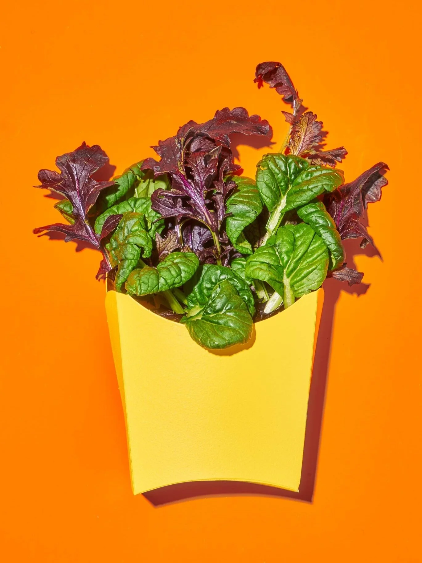 190529-PLENTY-FrenchFryGreens-0018.jpg