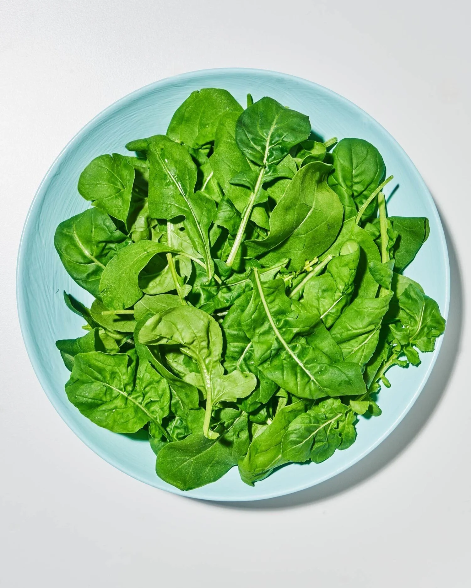 190529-PLENTY-FeistyArugula-0017.jpg