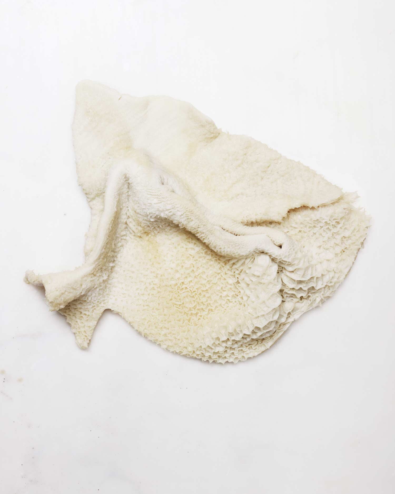 DPRTRS_Offal-091912-0530.jpg