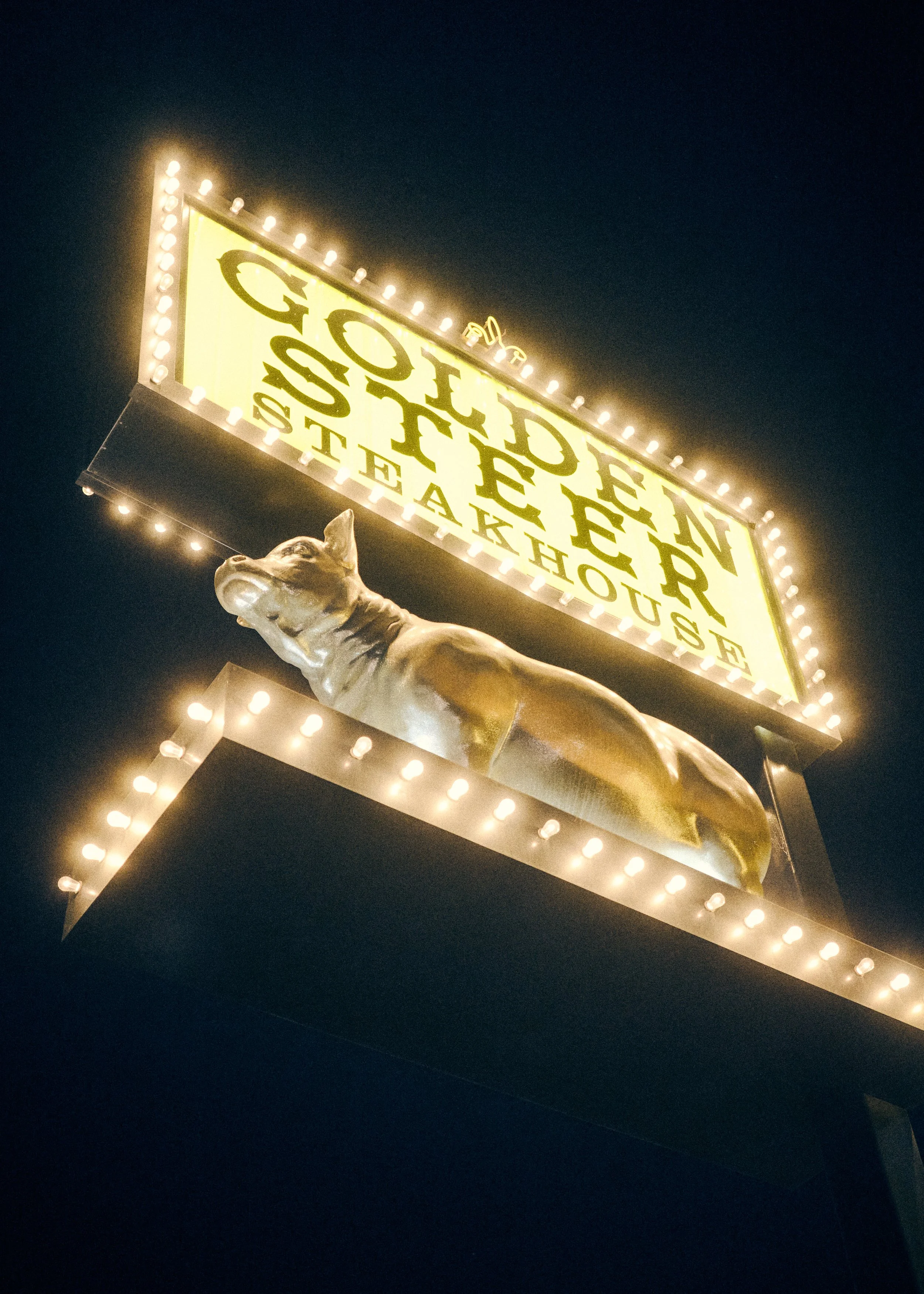 221214_VEGAS_GoldenSteer-0034.jpg