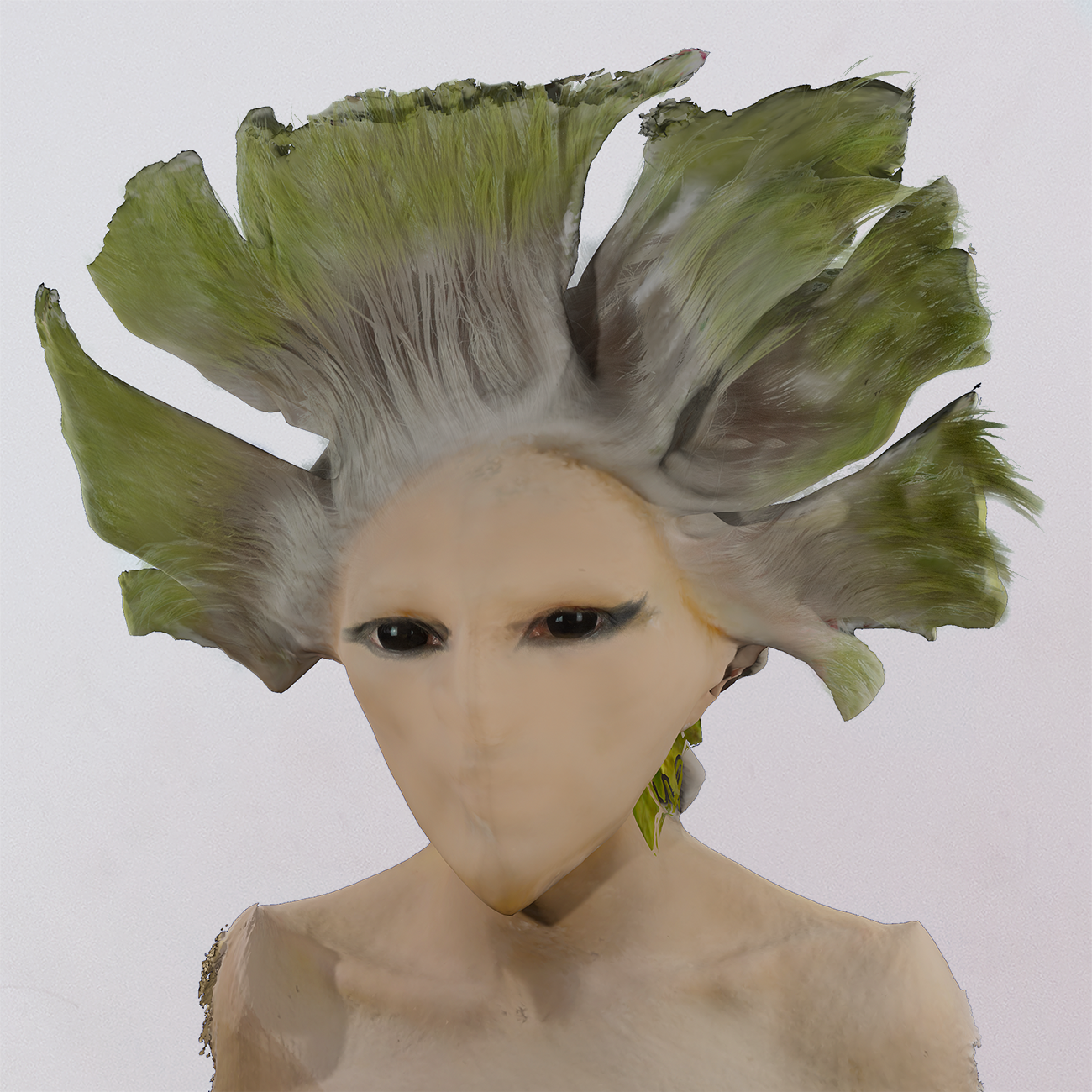 DSC07971.png