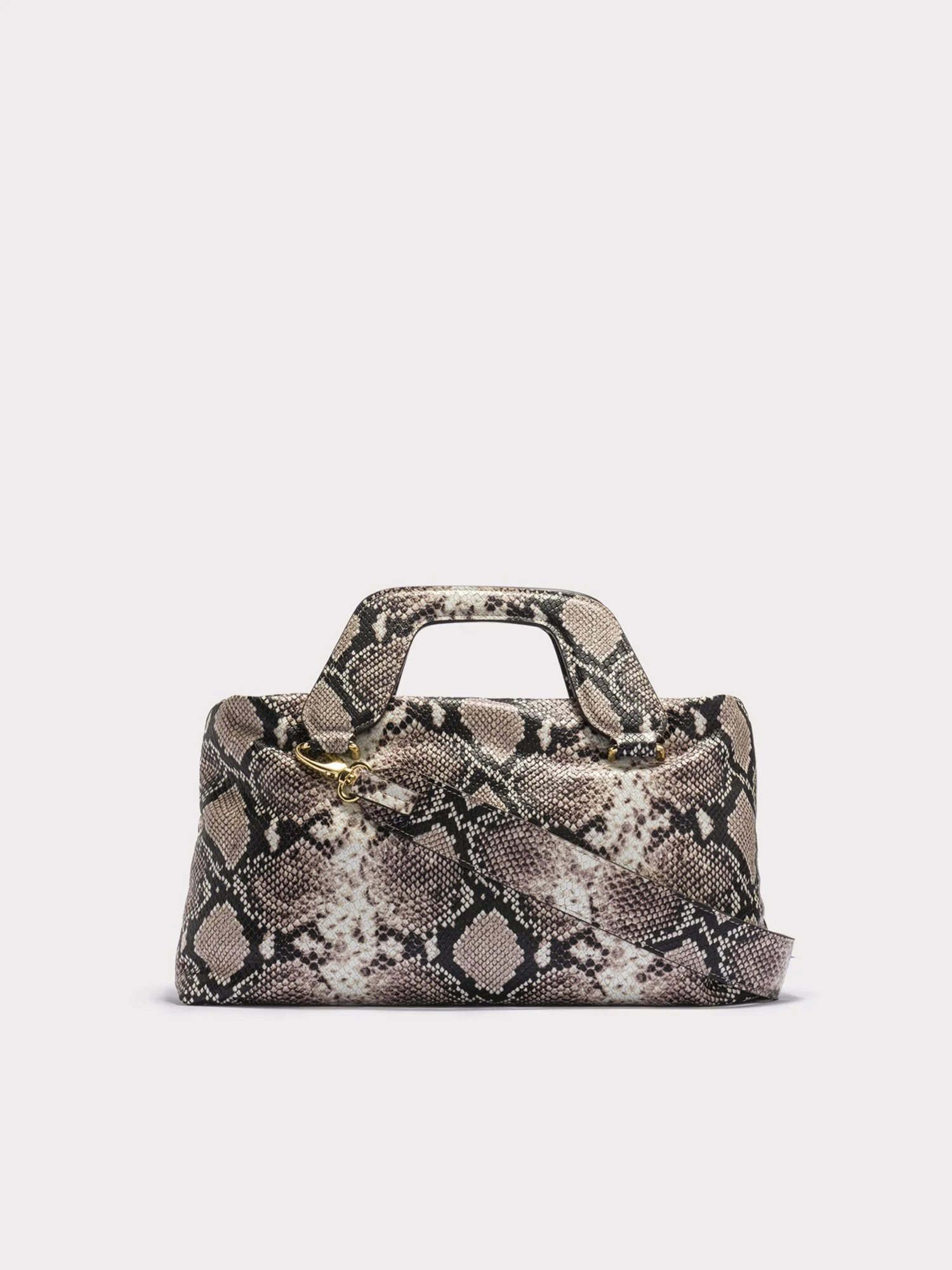 AIM_Large Alice Snake back.jpg