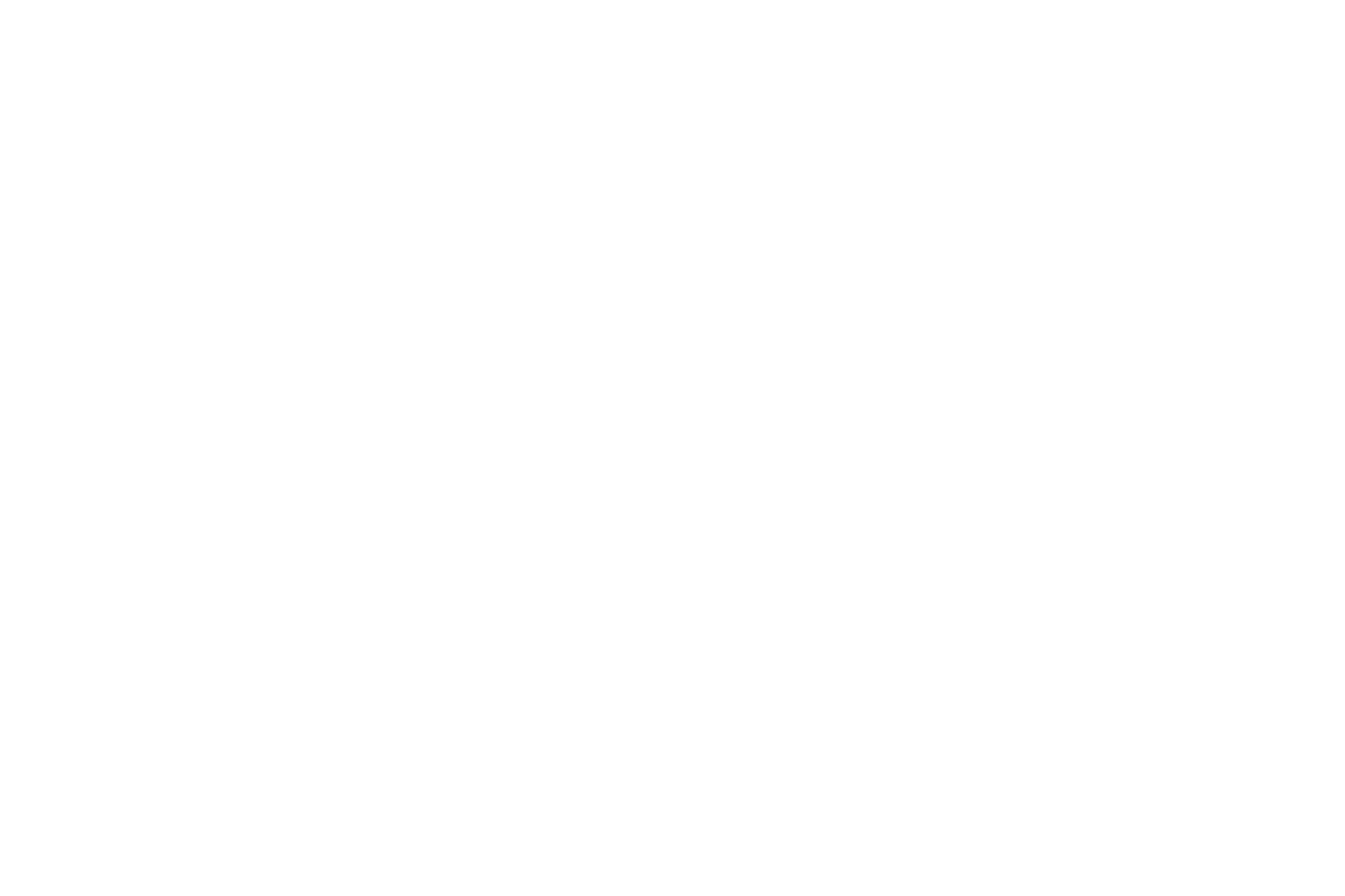 logo-brave-communities.png