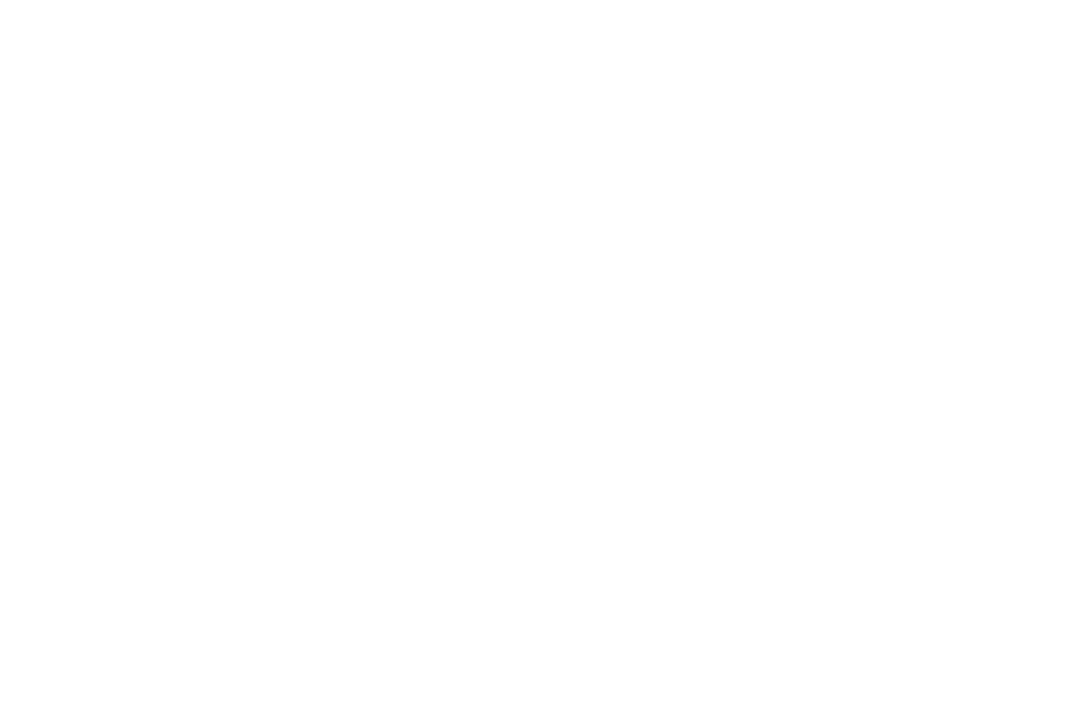 logo-yellow-bird-2.png