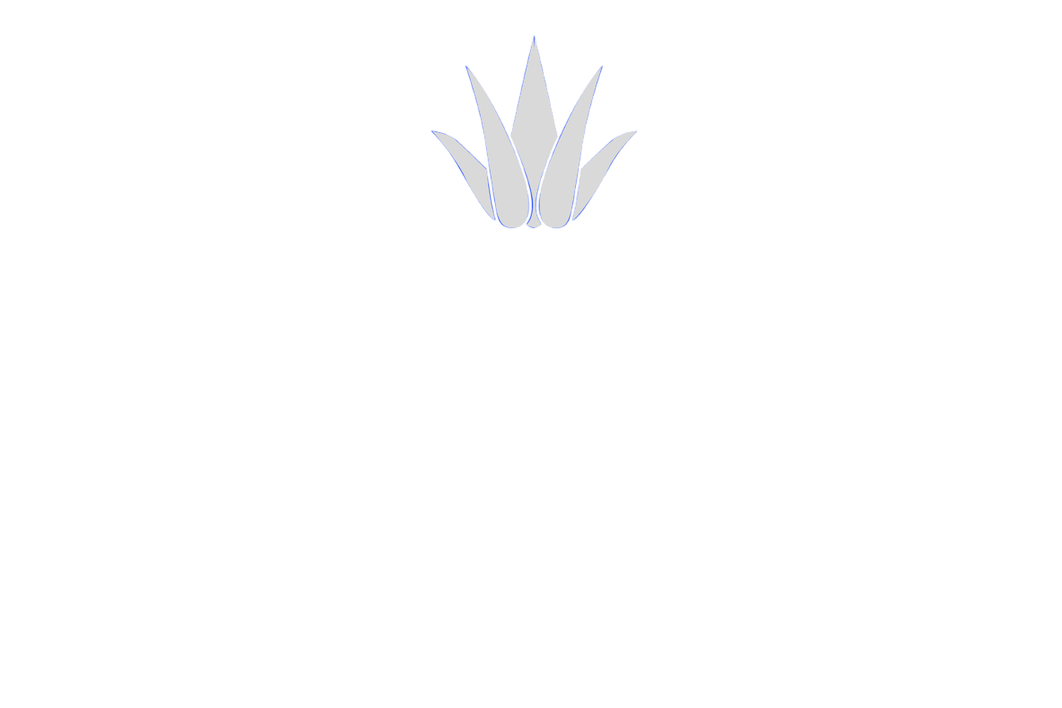 logo-blue-norther.png