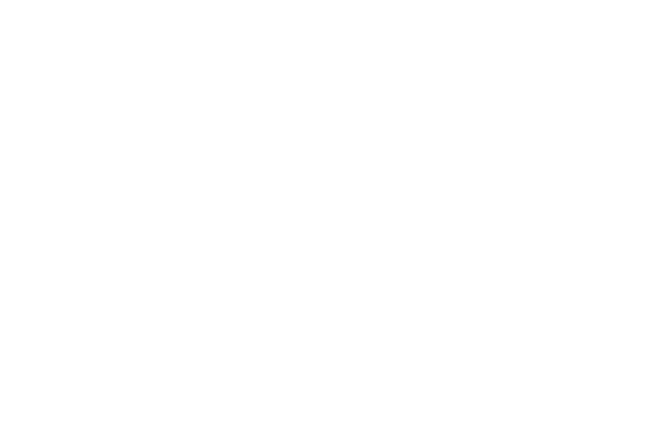 logo-FSG.png