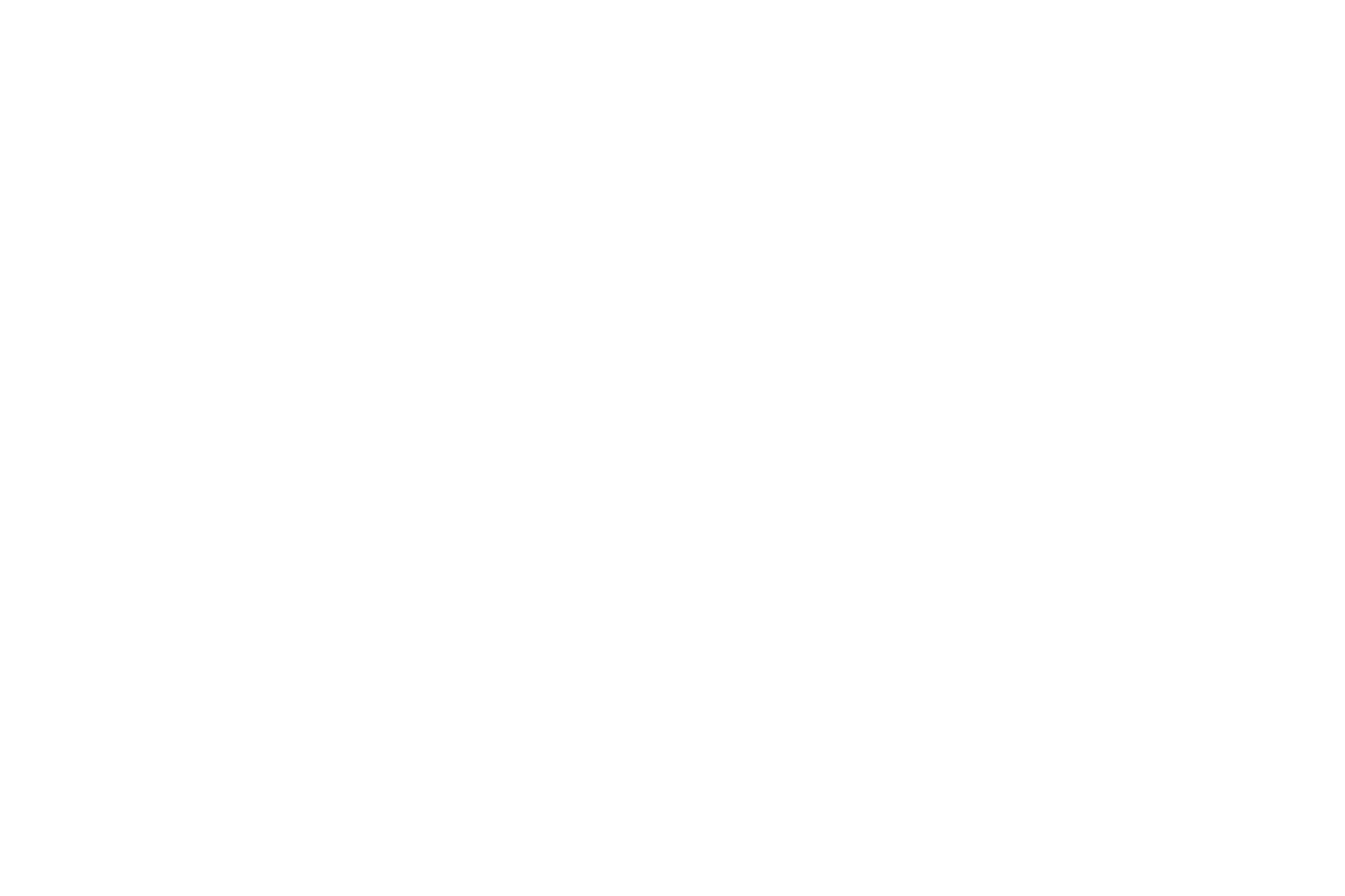 logo-chameleon-cold-brew.png