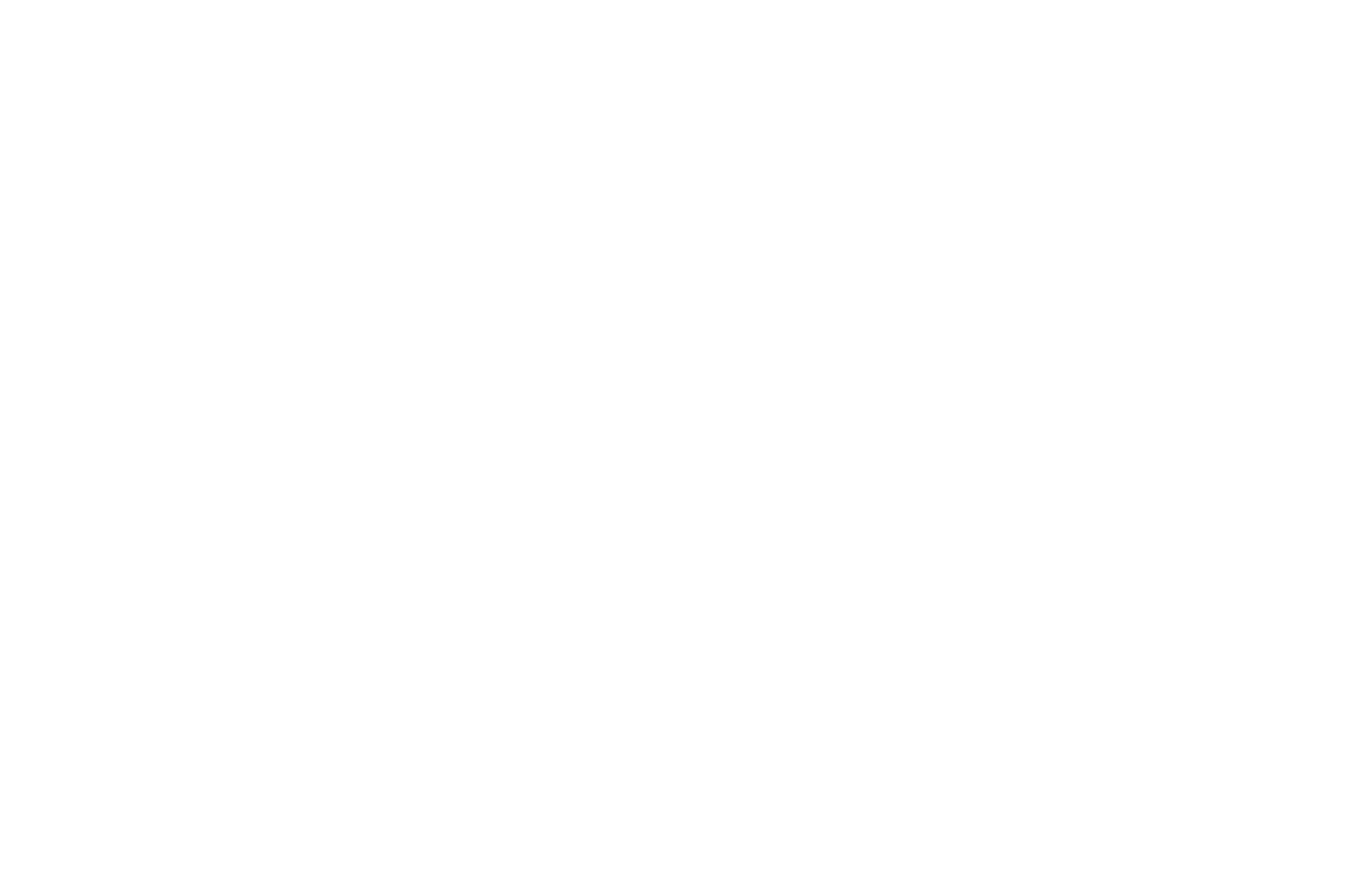 logo-brane.png