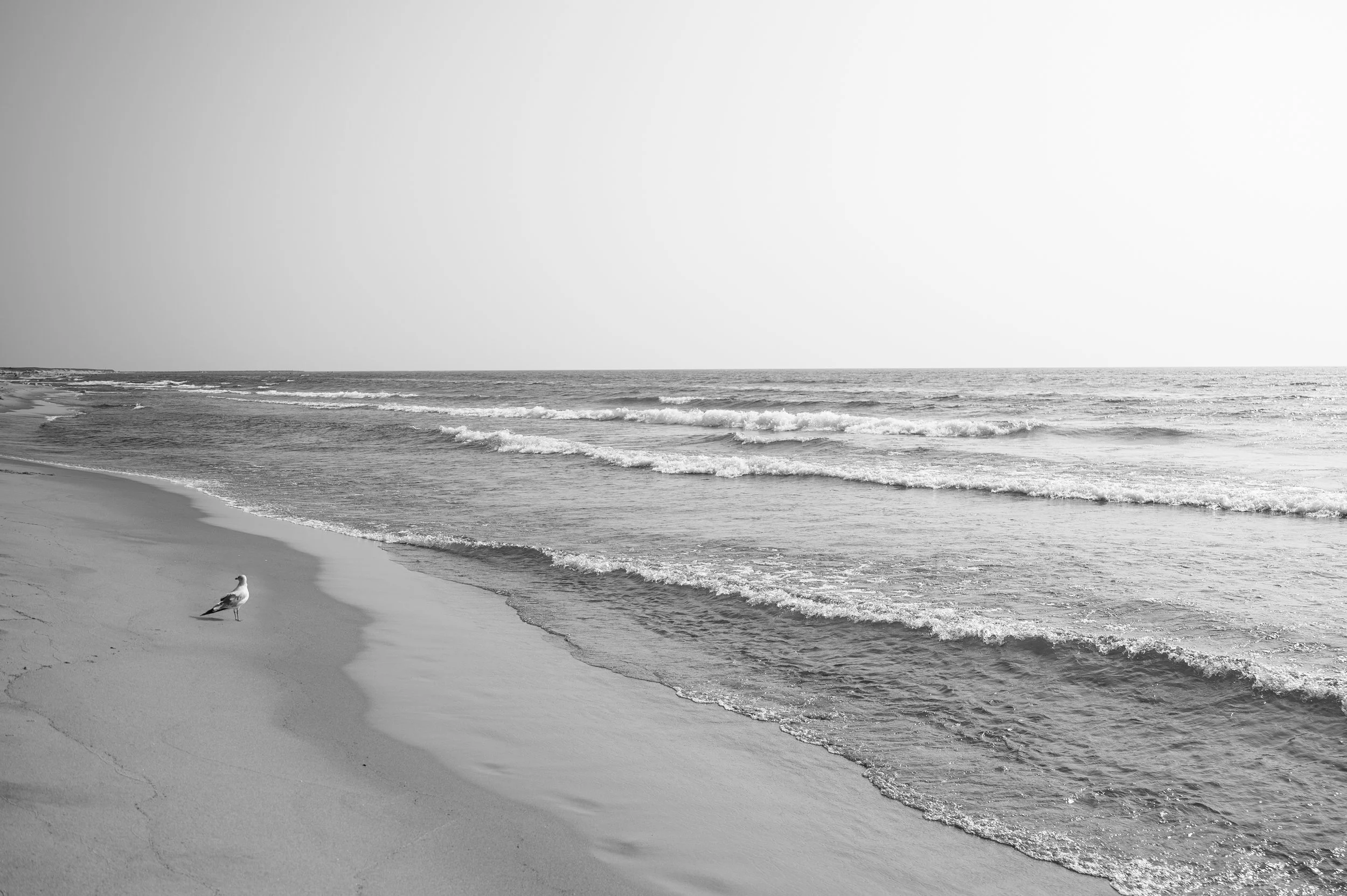 JaimedelaRosa4358_BW.jpg