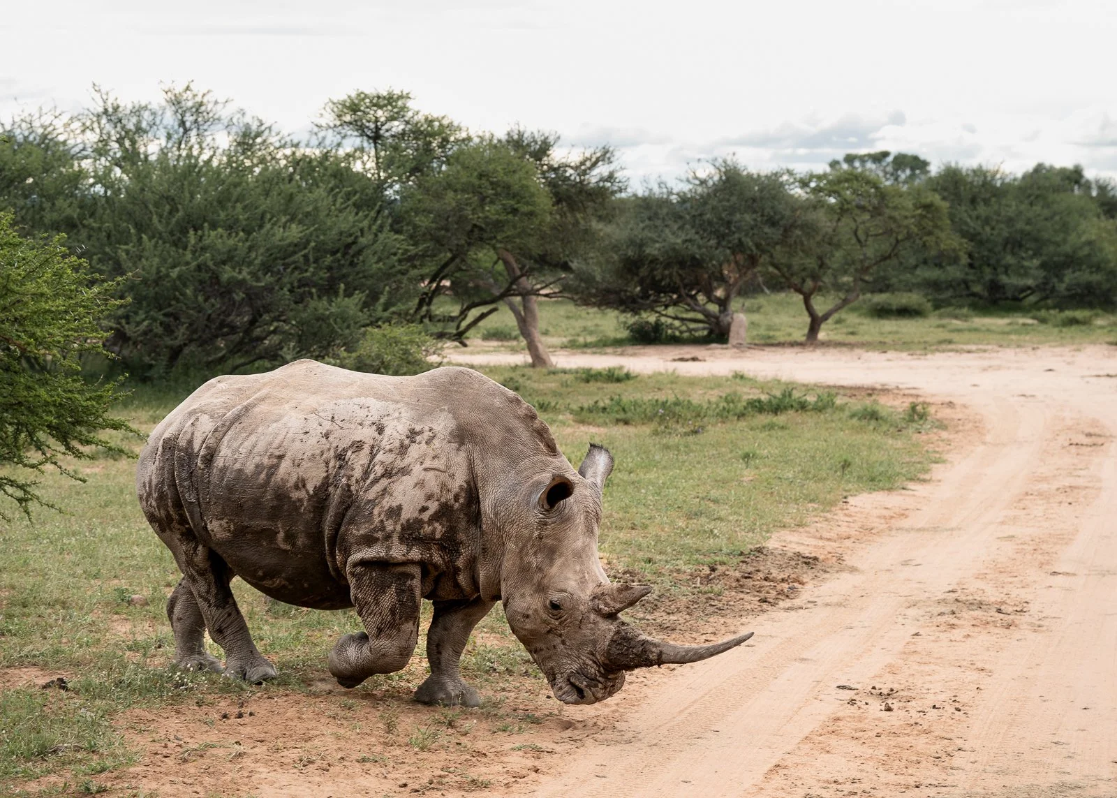 250316_South Africa_0033.jpg