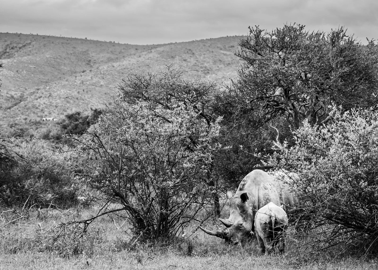 250316_South Africa_0078-2.jpg