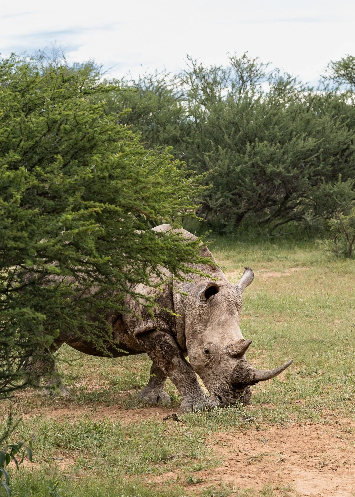 250316_South Africa_0028.jpg