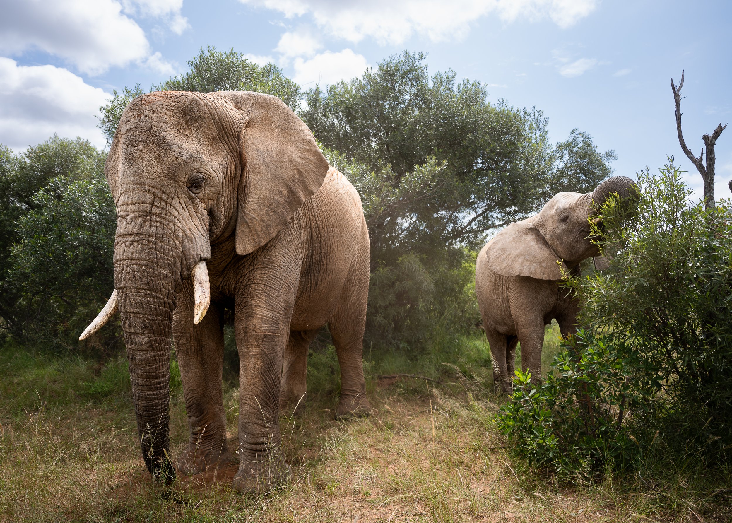 South Africa