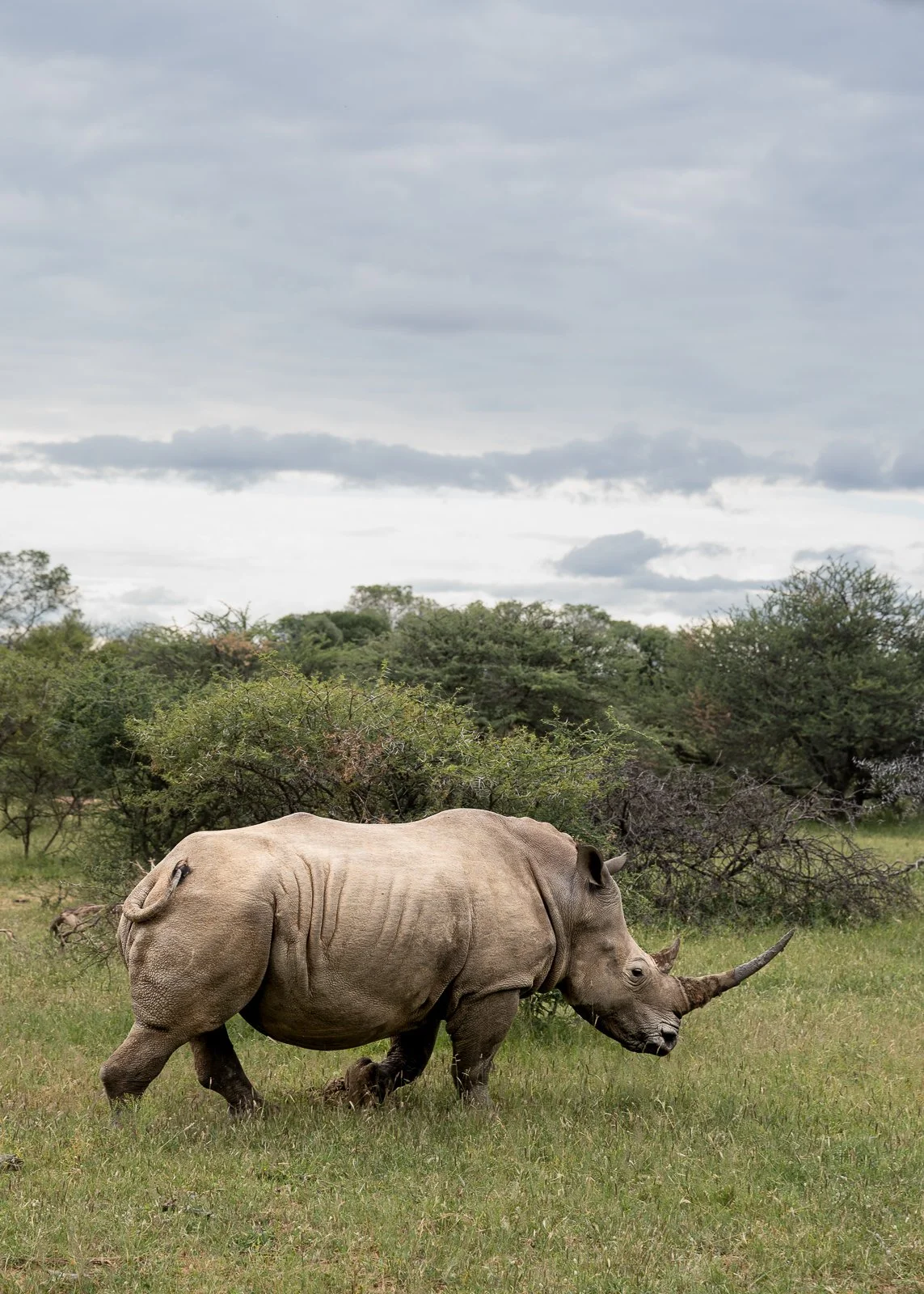 250316_South Africa_0069.jpg