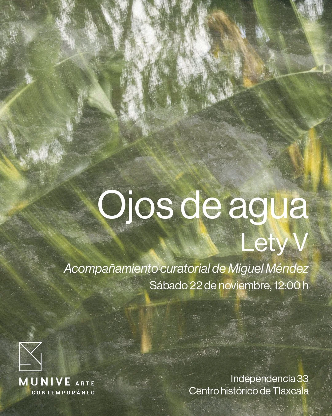 Ojos de agua_inauguracion.jpg