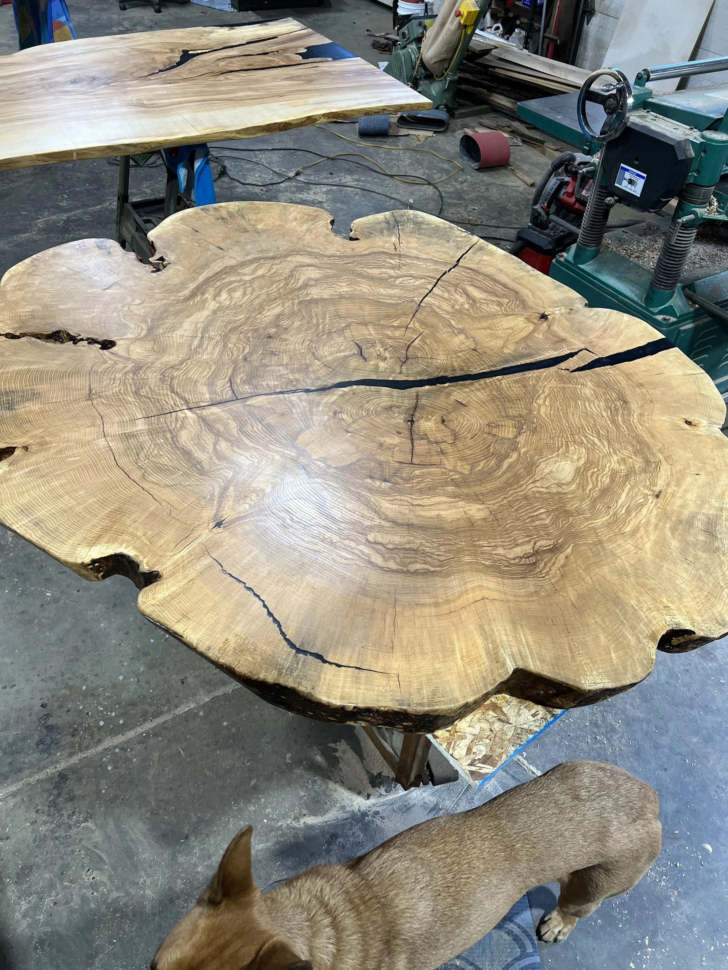 A large, round wooden slab with visible growth rings and natural cracks, resting on a workbench in a woodworking shop.