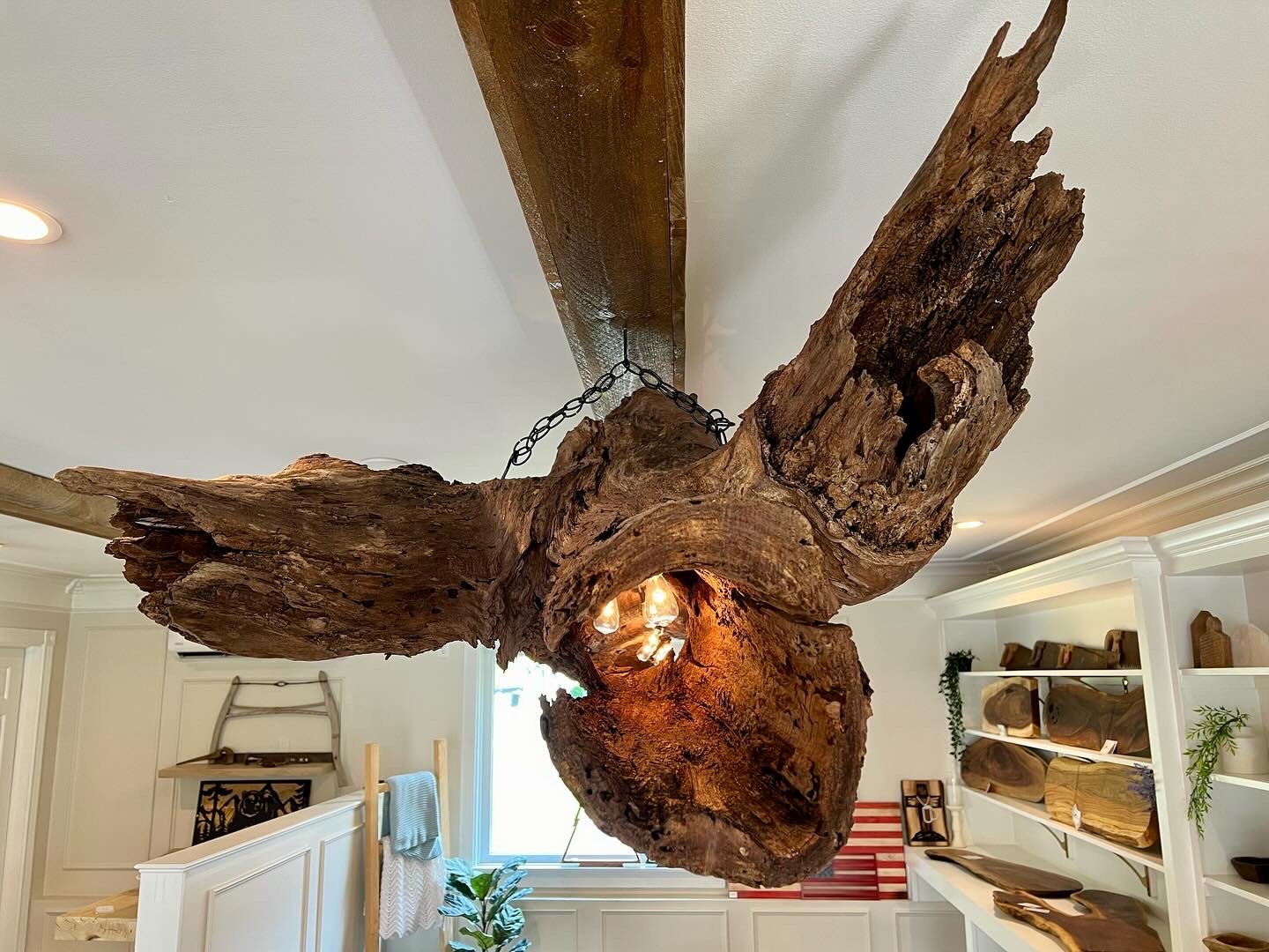A rustic chandelier made from a large, twisted piece of natural wood hanging from a ceiling chain in a cozy, decorated interior room.