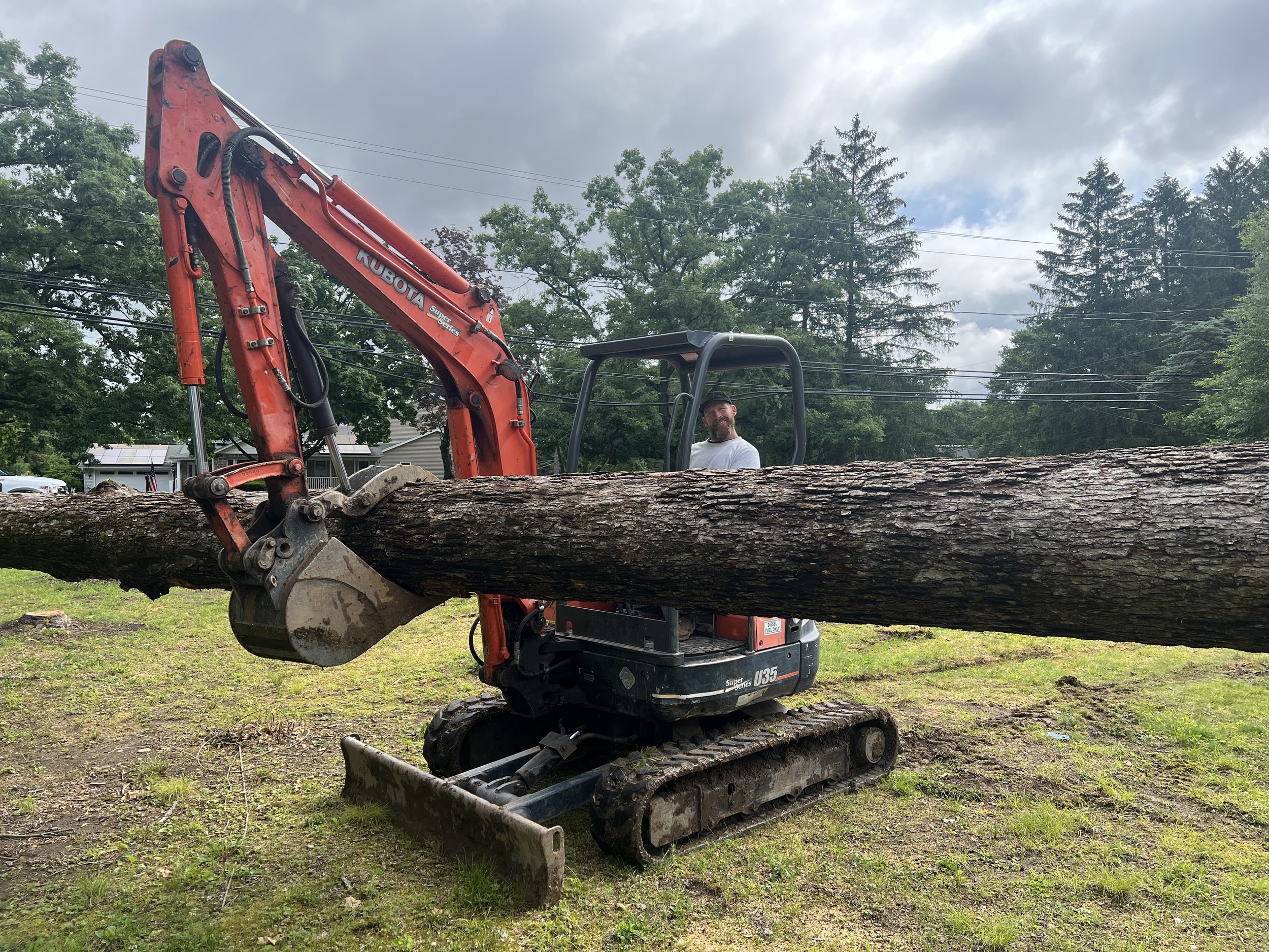 A man operating a small orange and black Kubota excavator with a large tree trunk in the bucket on a grassy area under cloudy skies.
