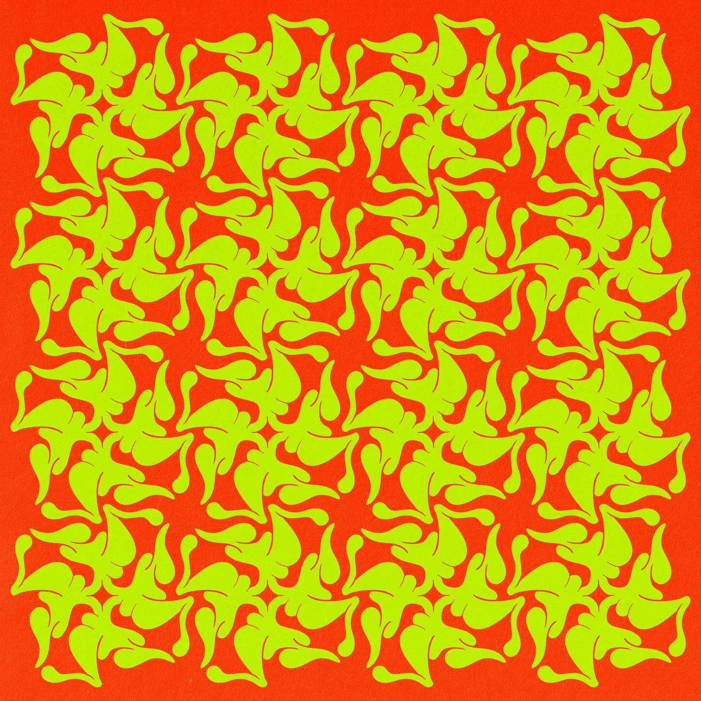 469662663_18261155392264381_724952788286455073_n.jpg