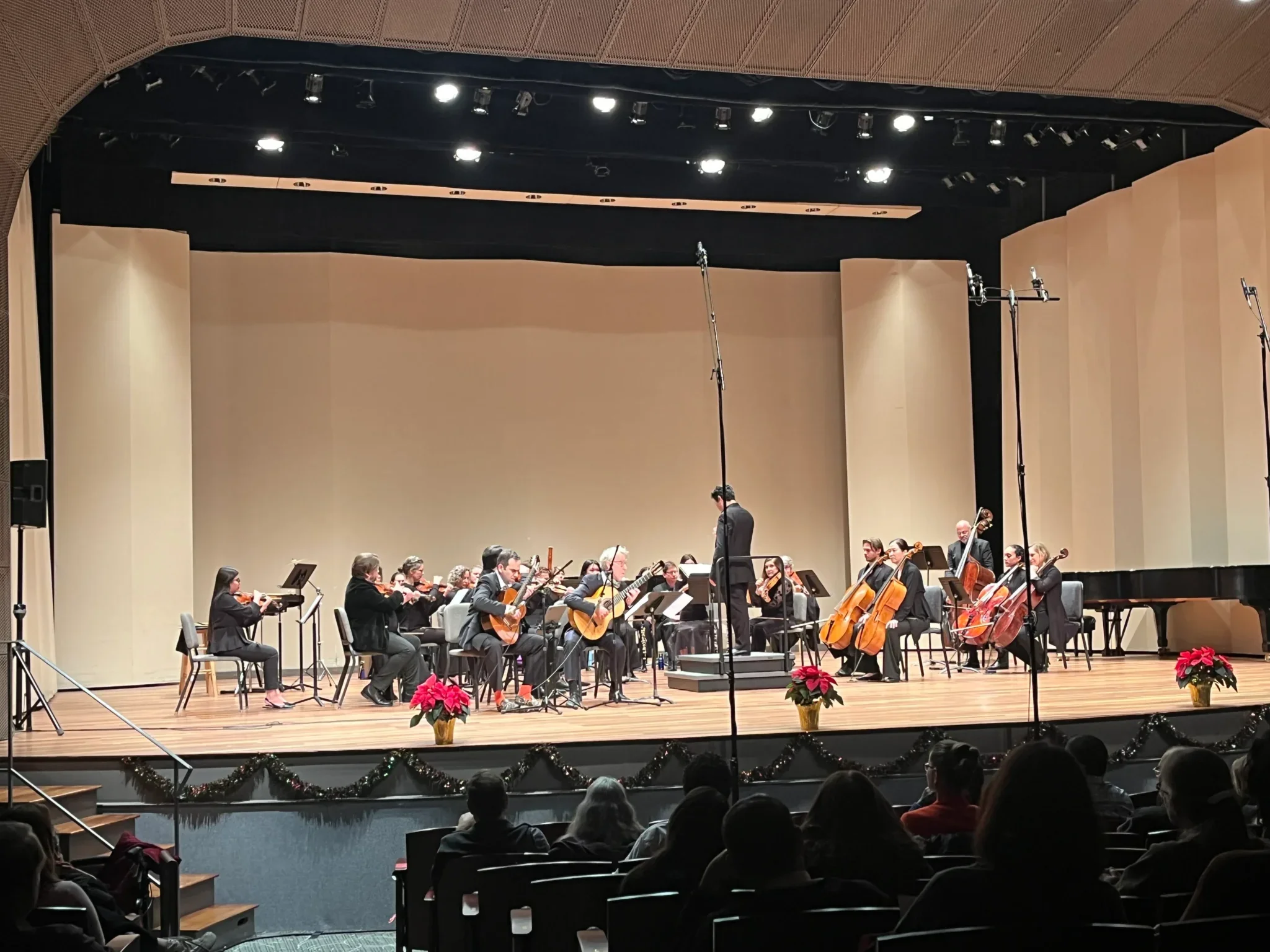 Orchestra Unidos — Day of Dead Festival