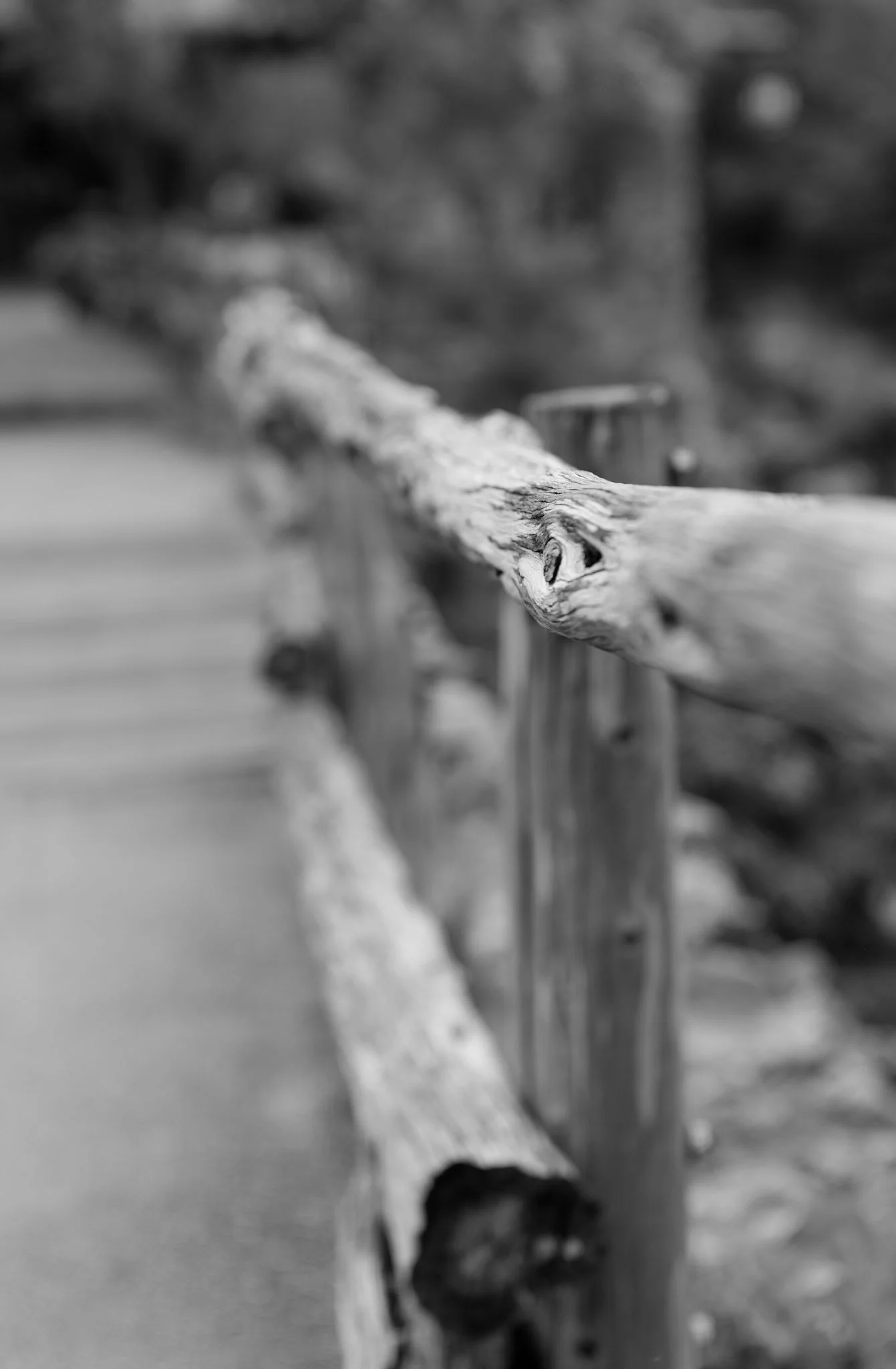 4-DSC_5278.jpg