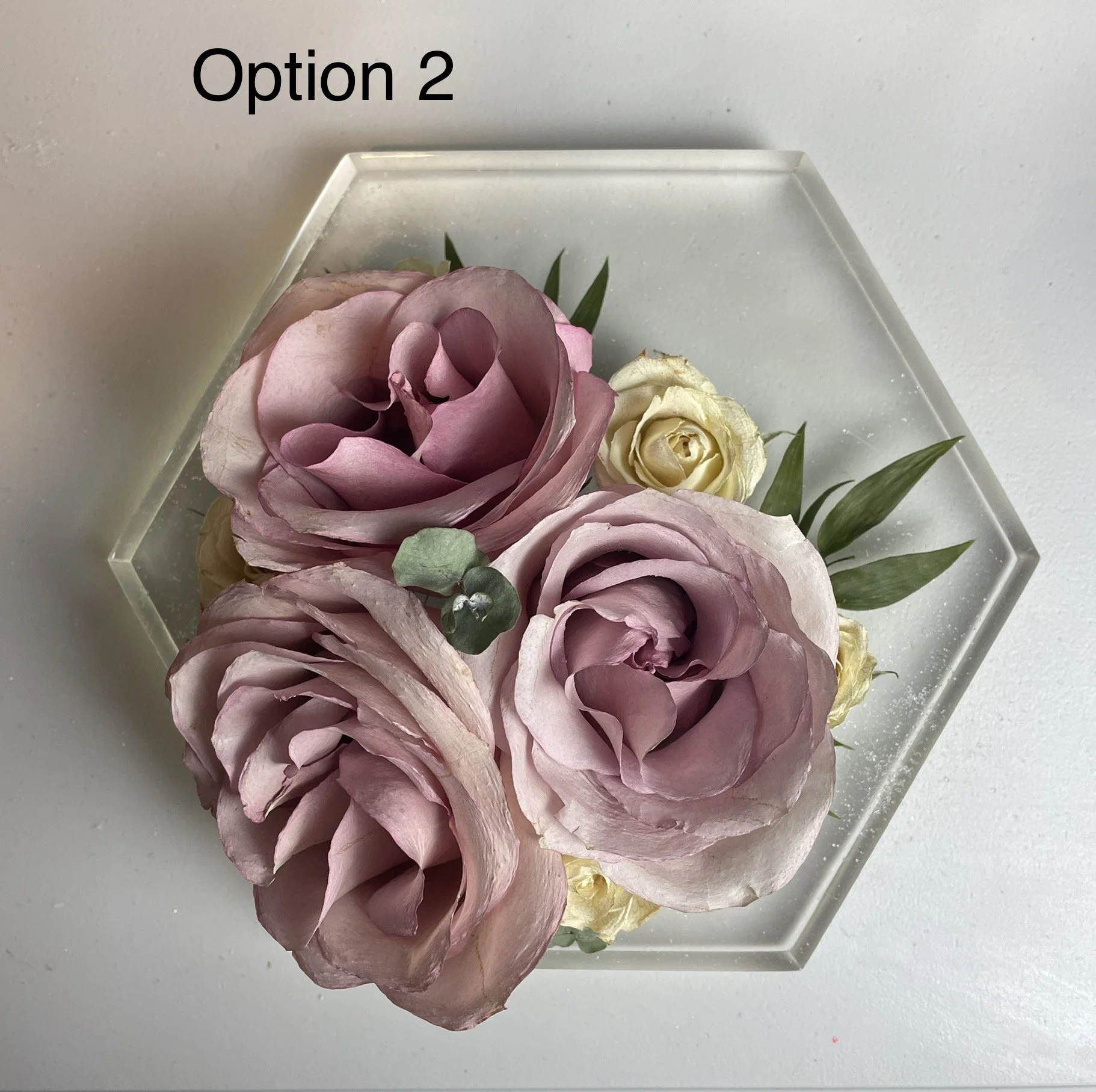 2023-09-10 12.51.14.jpg