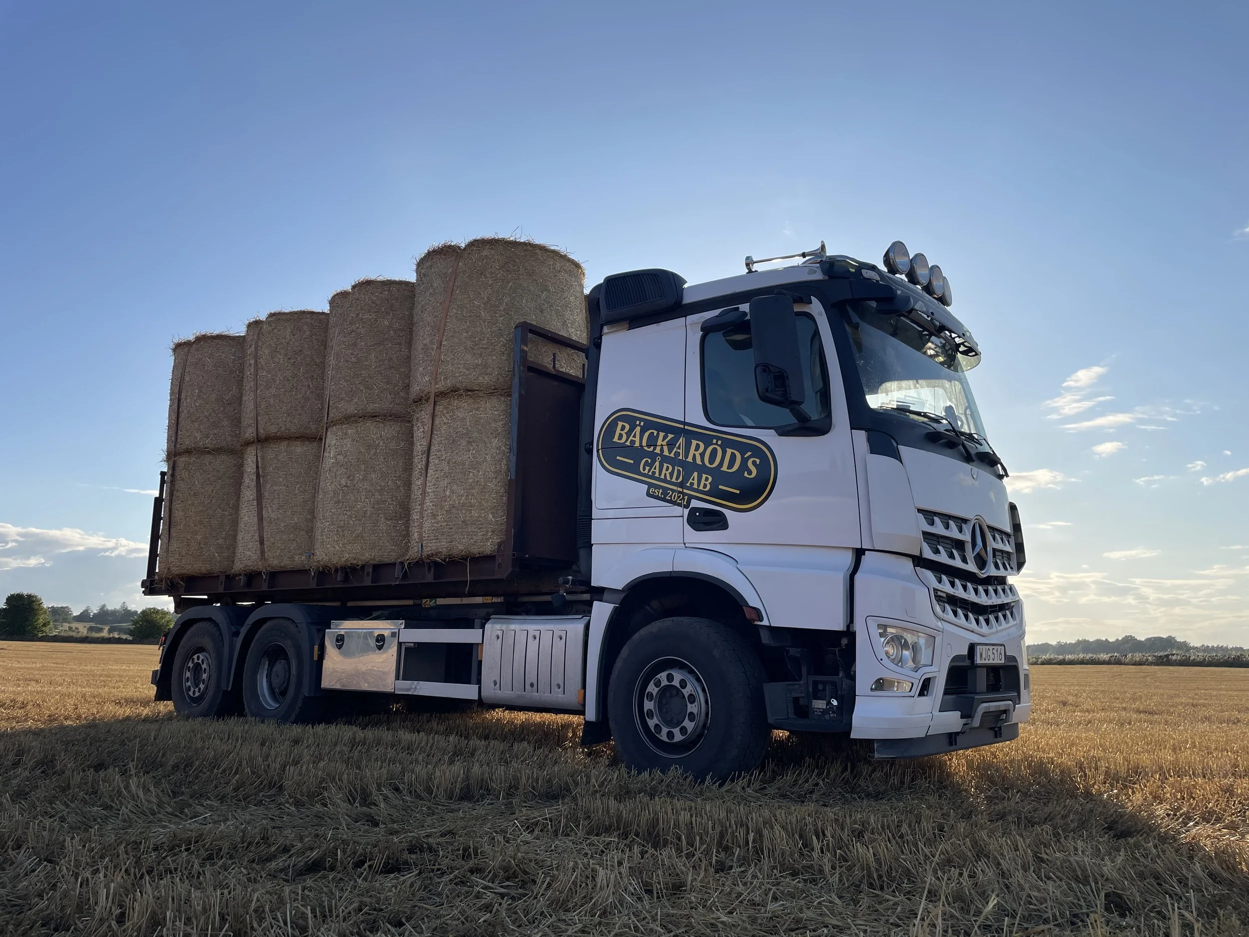 Transport & Entreprenad