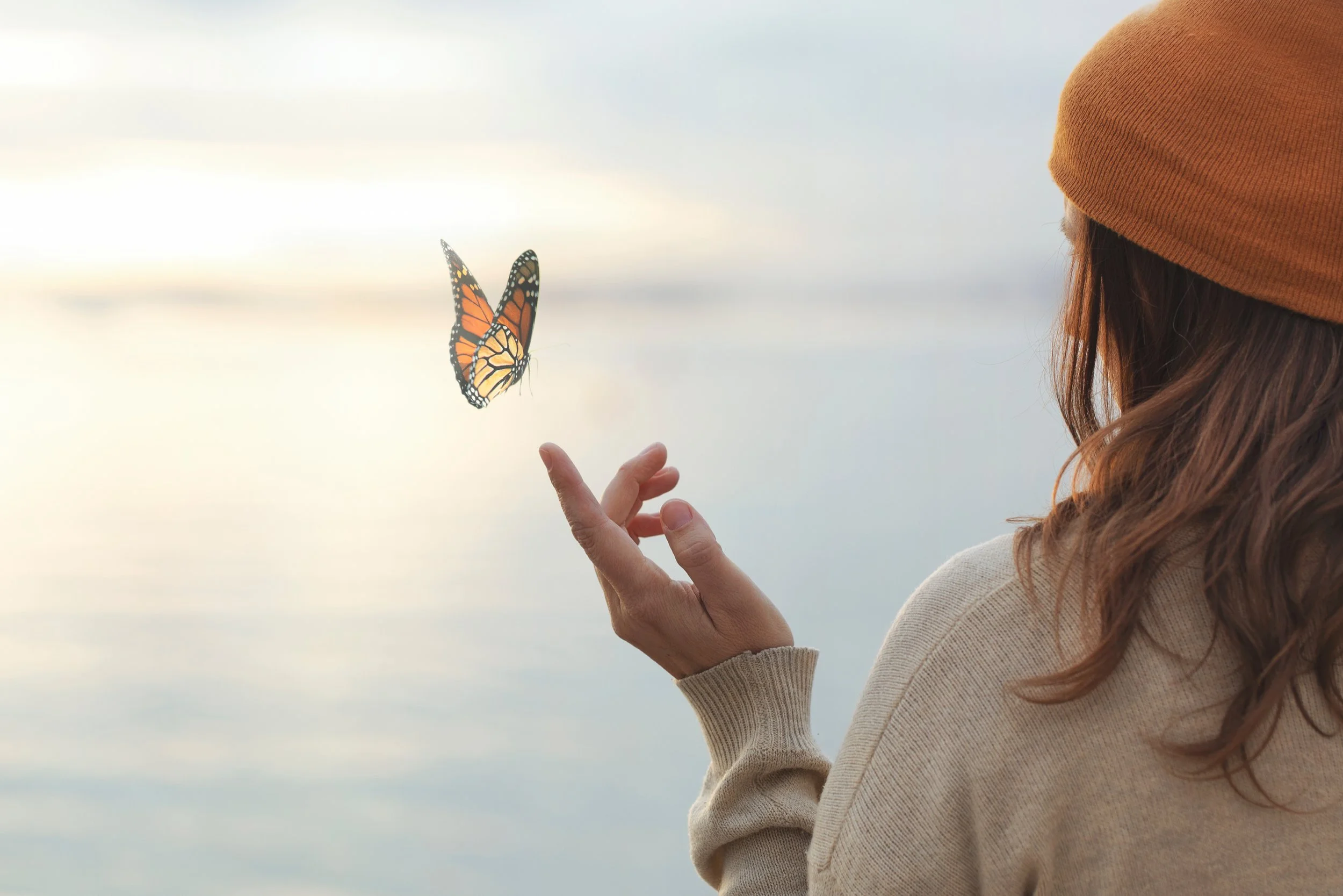 The Anxiety of Transformation