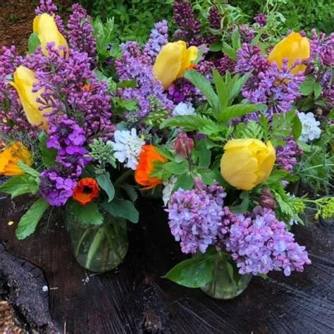 Energy Has Its Own Intelligence