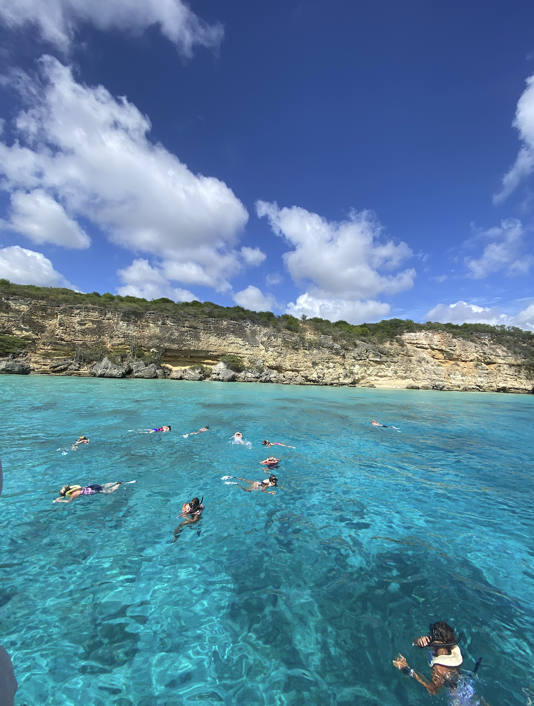 Snorkeling Guide Trip!