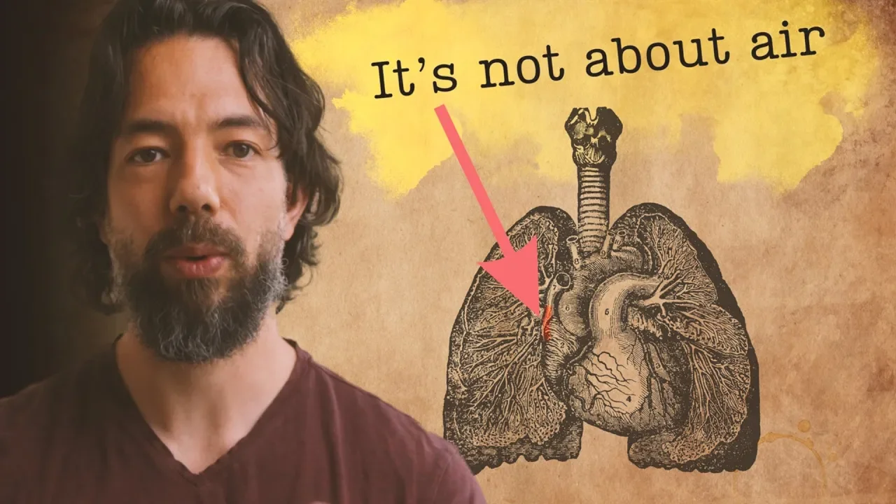 Once You Learn These Breathing Principles, Life Changes