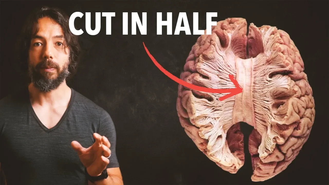 The Unsettling Truth Behind Self-Awareness and How To Change it