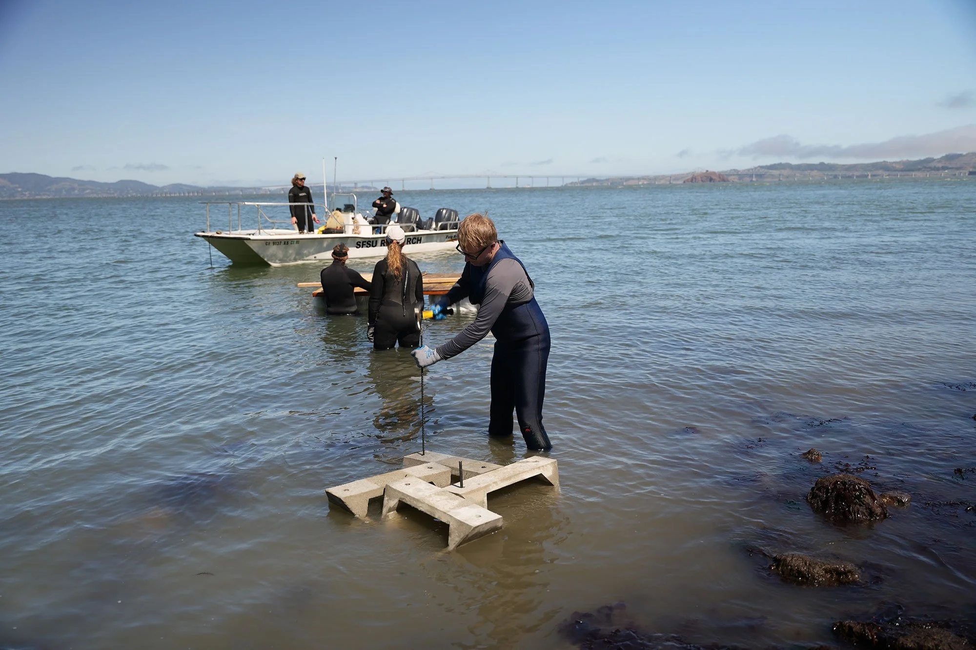 LIVING-SHORELINES-04.jpg