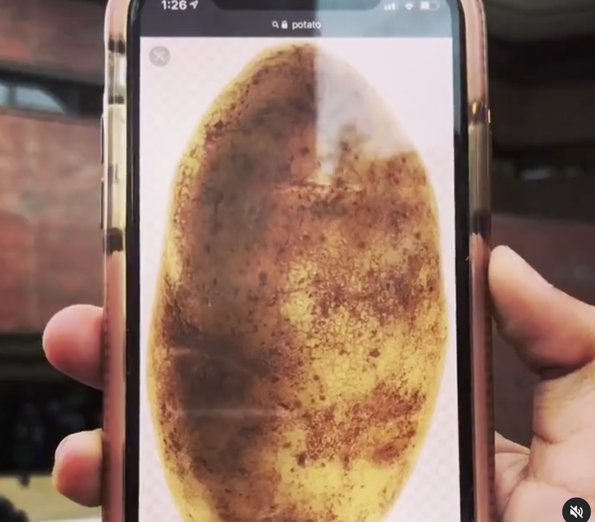 Screen Shot 2021-12-07 at 5.12.59 PM.png