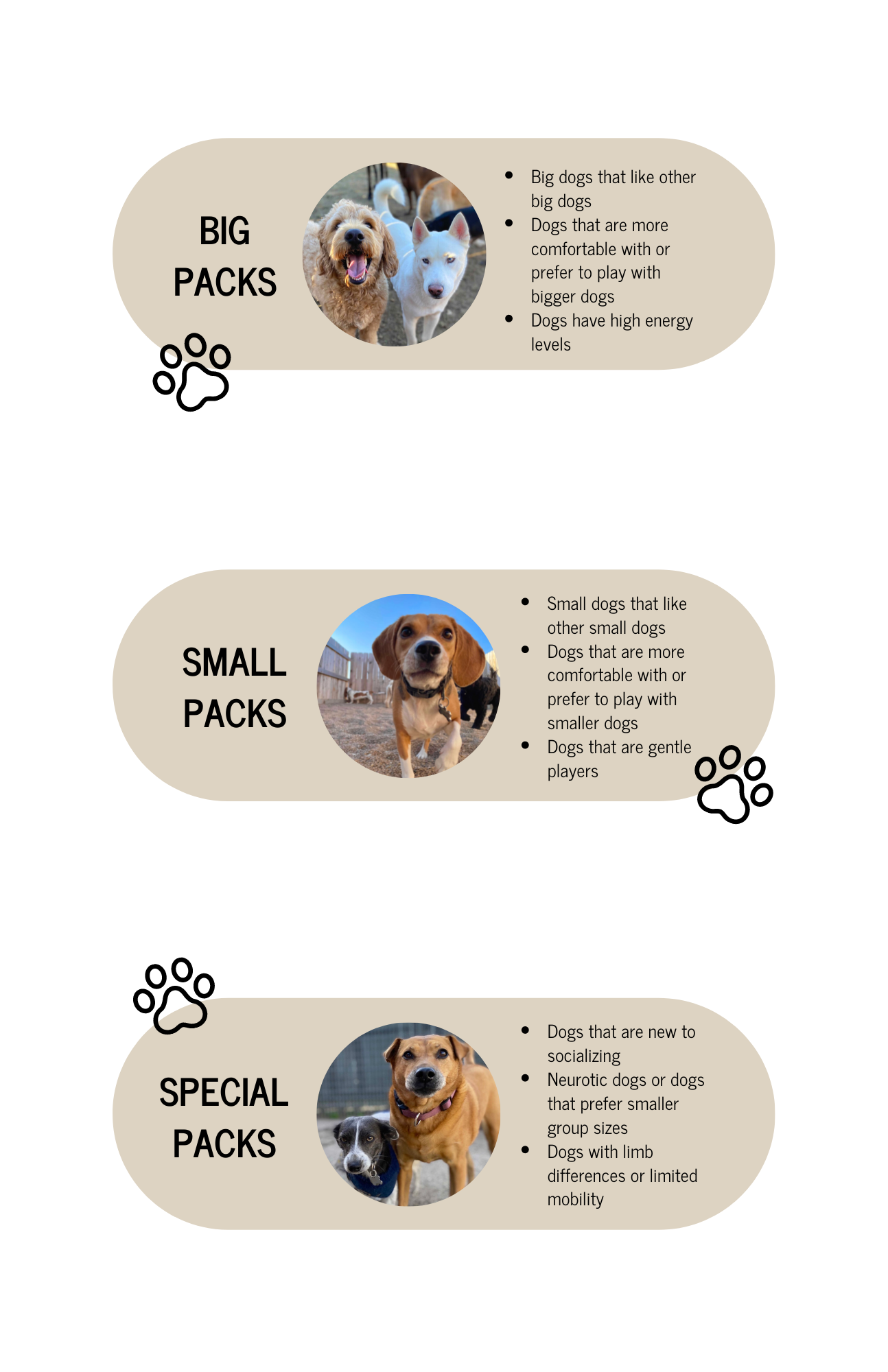 Daycare — Home Sweet Home Dog Resort