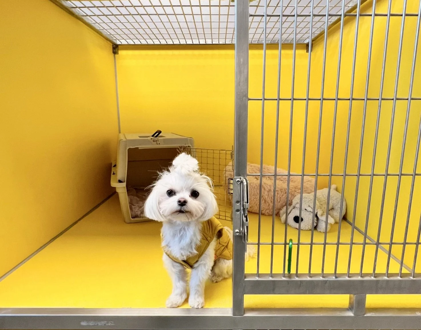 Boarding — Home Sweet Home Dog Resort