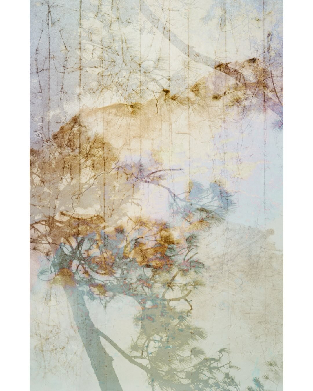 Selections of the series &ldquo;Cultivating the Heart Sense&rdquo; are now available @mmpagallery 

Pigment print on Japanese Kozo paper, 20&rdquo;x30&rdquo; on 24&rdquo;x34&rdquo; sheet

#karenolsonphotography #mainemuseumofphotographicarts