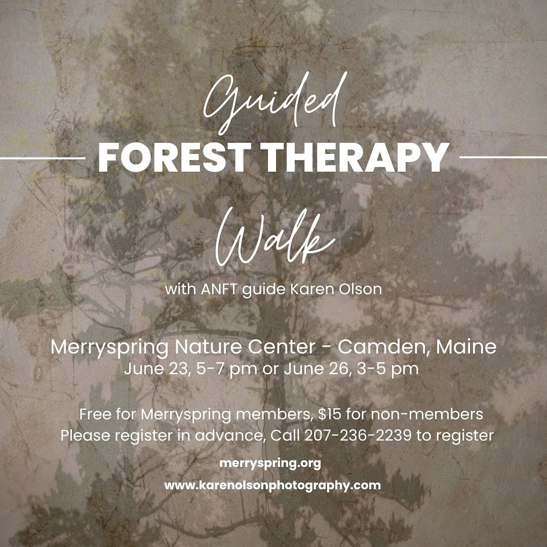 Join me for a delightful sensory experience on the trails of Merryspring Nature Center. This is a low impact walk suitable for most. It is a slow walk that does not require physical stamina. Forest therapy helps people reconnect and form meaningful r