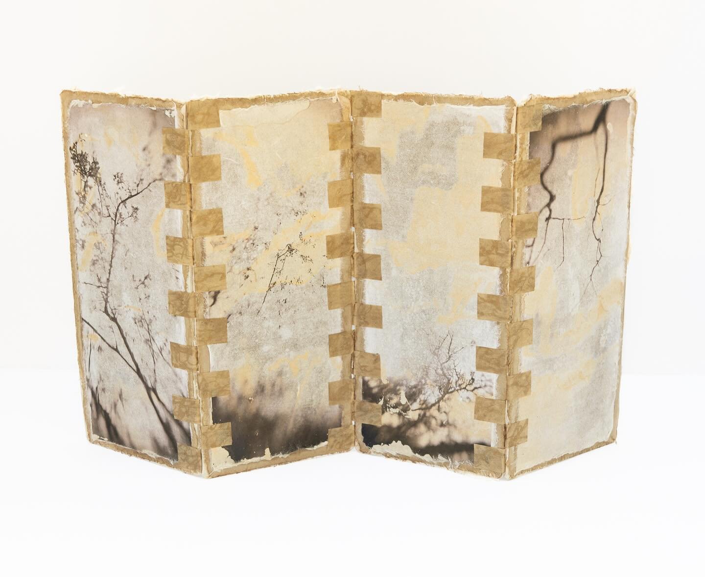 Quotes

&ldquo;I am a papermaker because it is a discipline where you can fully get engaged with all the steps of the making of something. And every single step of the process can be important in relation to what you want to say with your needs of ex