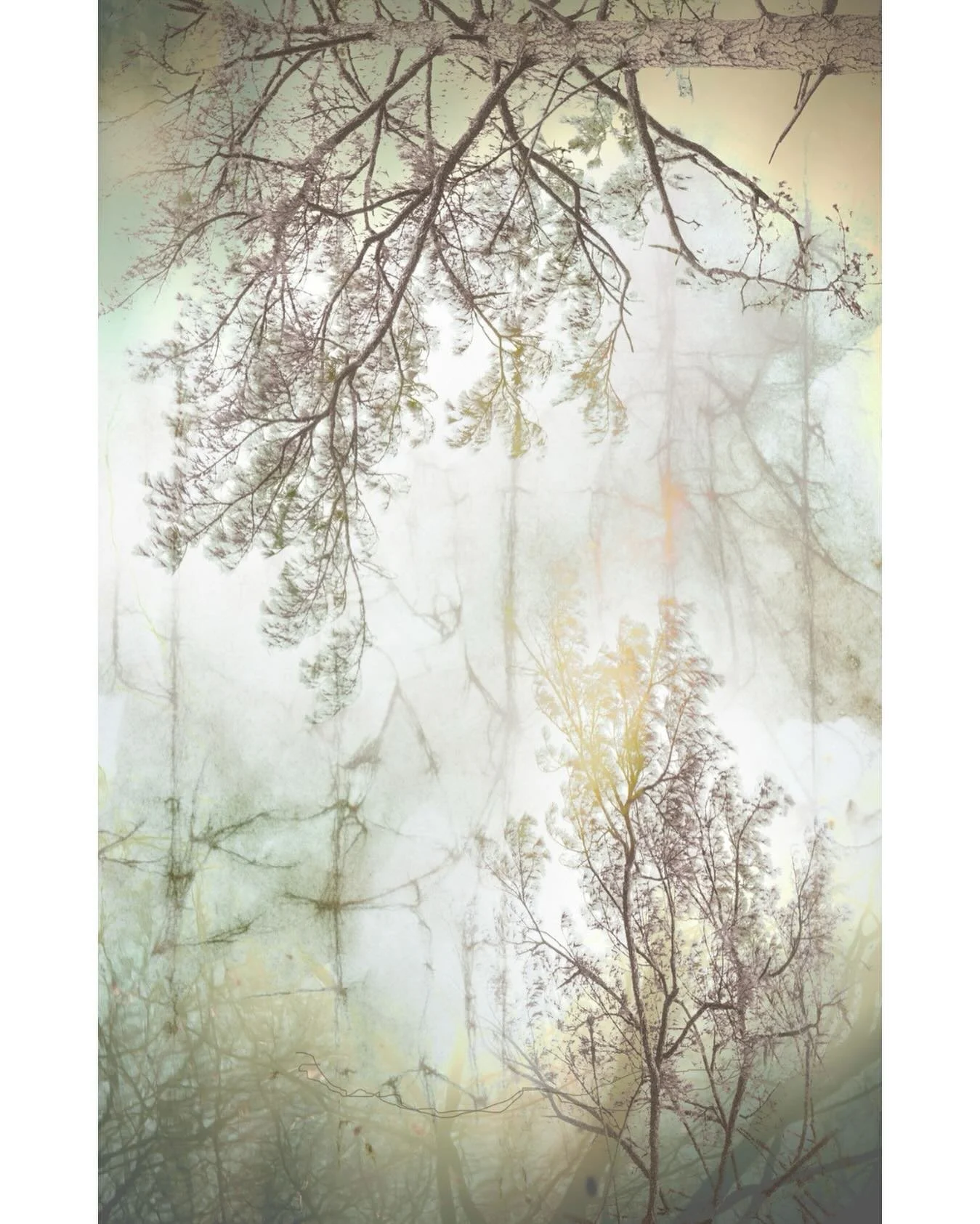 I am excited and honored to report that &ldquo;Equilibrium&rdquo; was selected for inclusion in &ldquo;The 27&rdquo;, a limited edition hardbound art book of Asmith Gallery&rsquo;s exhibition &ldquo;Landscapes,&rdquo; juried by Wendi Schneider.
To ca